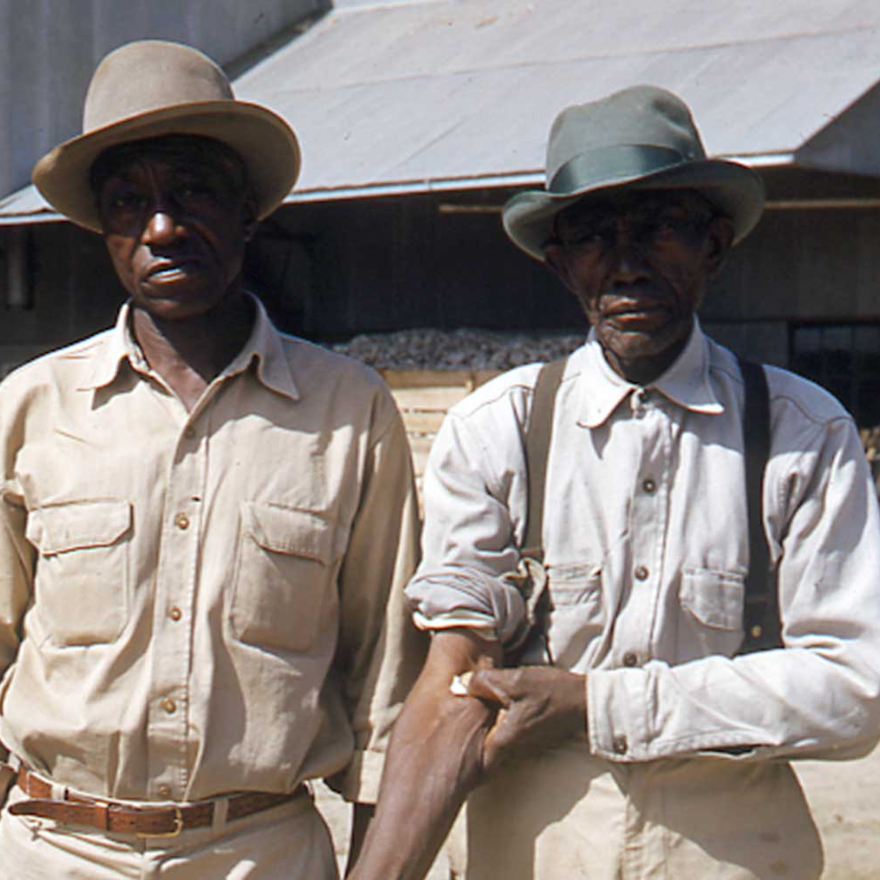 2024-09-13: Blogas Kraujas (Tuskegee Eksperimentas), 2 dalis episode artwork