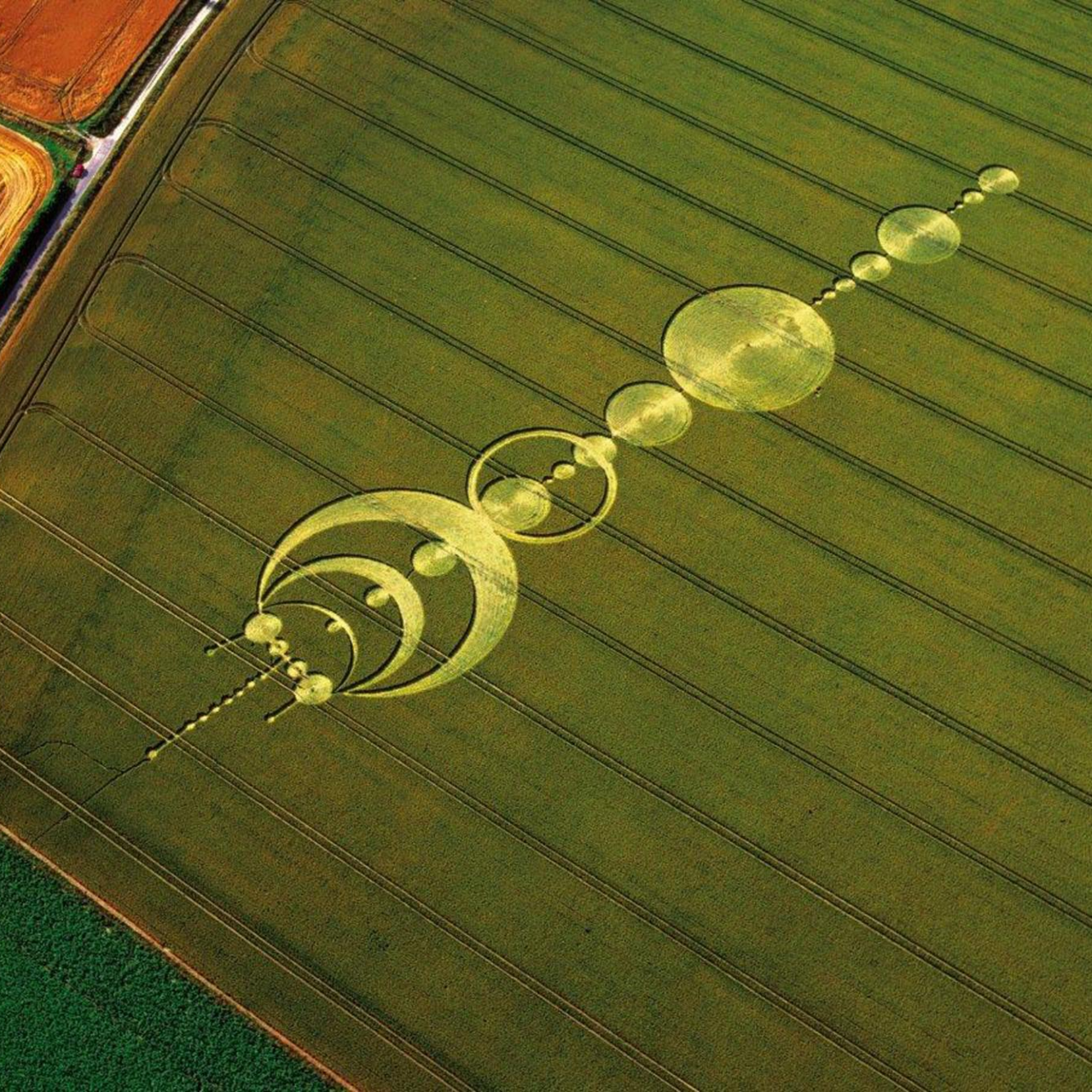 2025-02-15: Skrituliai Javų Laukuose | 1 dalis episode artwork