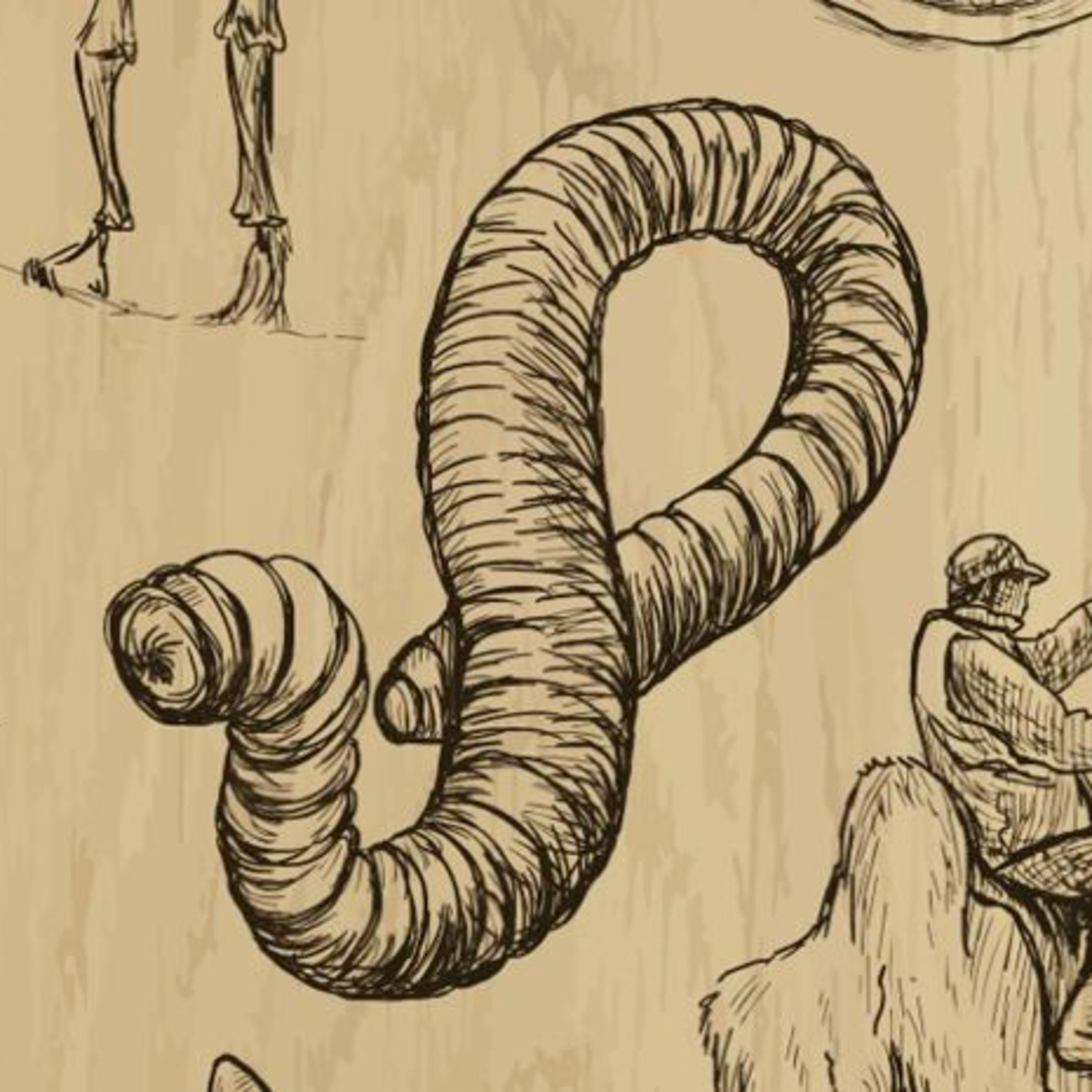 2025-03-01: Mongolijos Kirminas | 2 dalis episode artwork