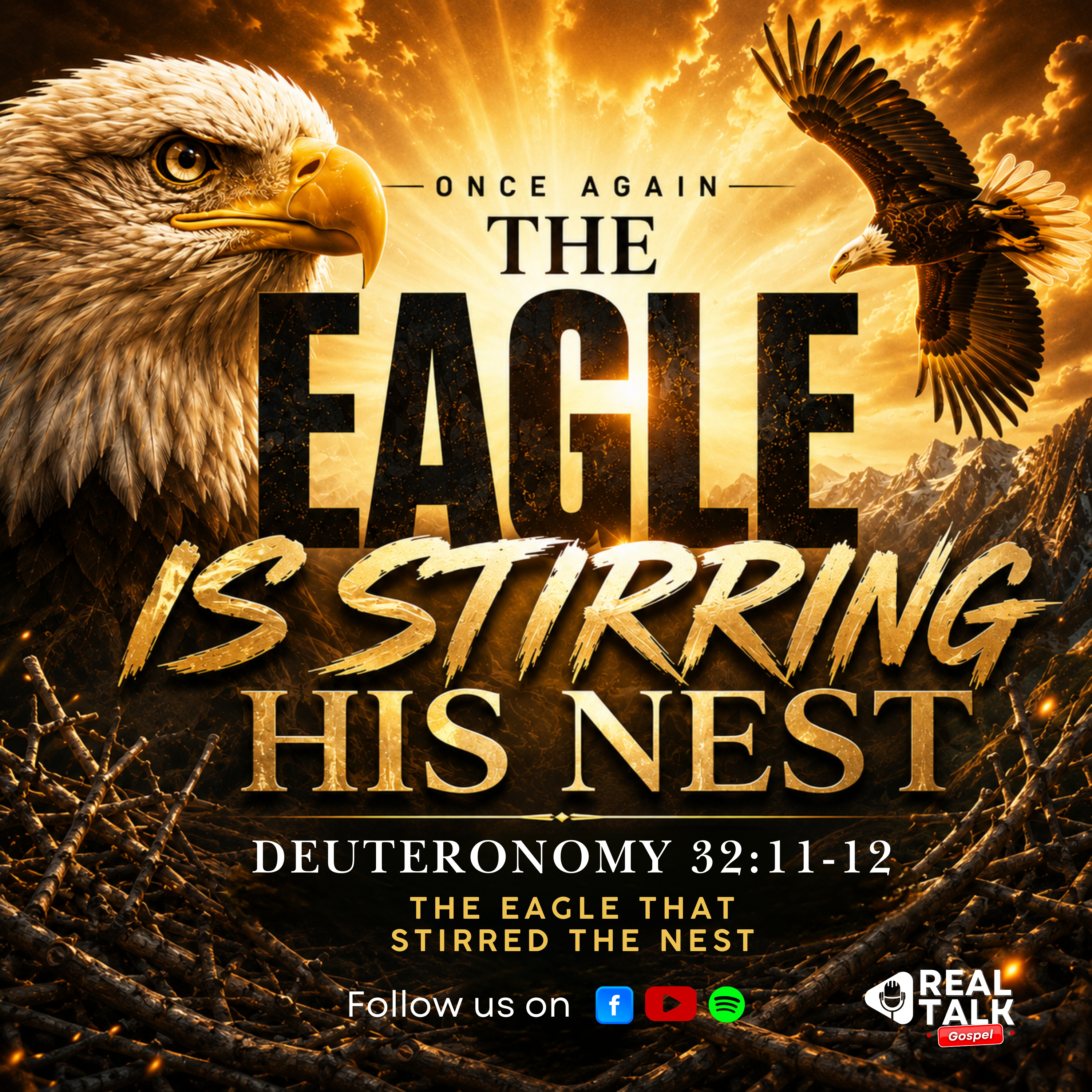 Once Again: The Eagle That Stirred The Nest episode artwork