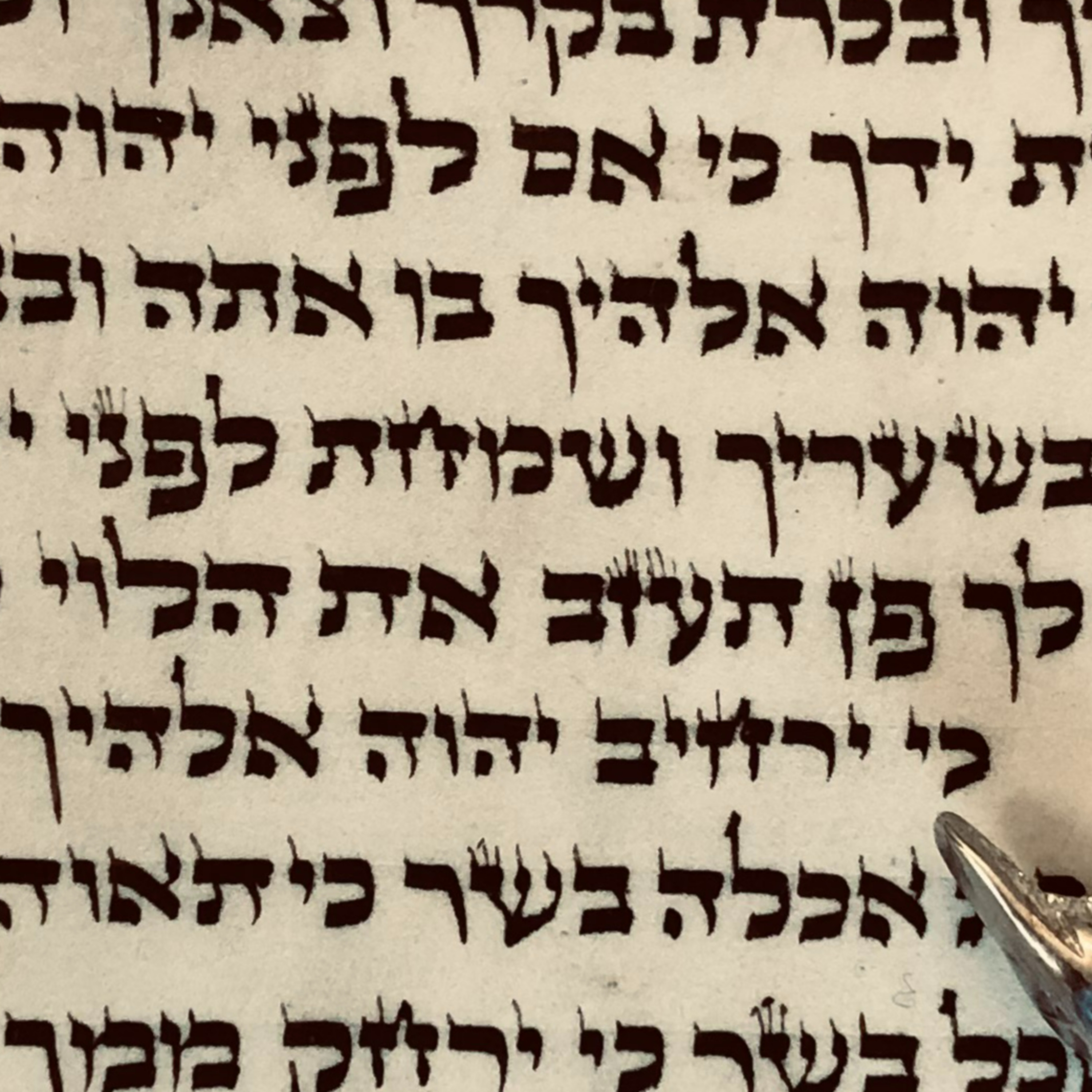 1.2: What's the purpose of the Mosaic Covenant? episode artwork