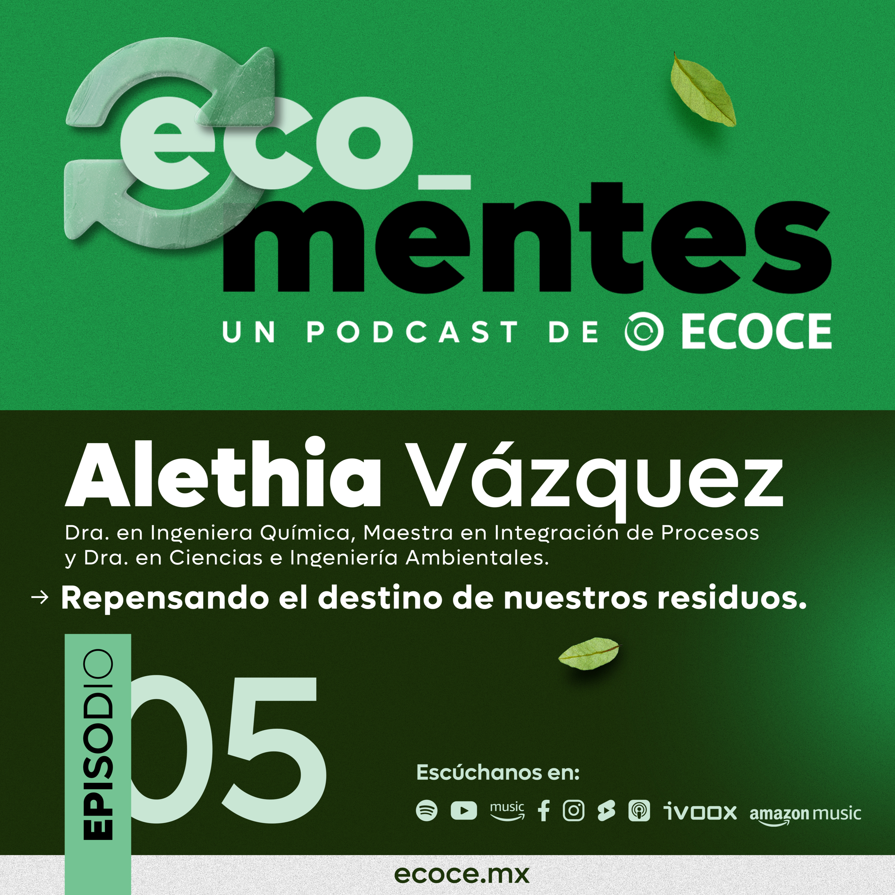 Capítulo 5.- Repensando el destino de nuestros residuos 