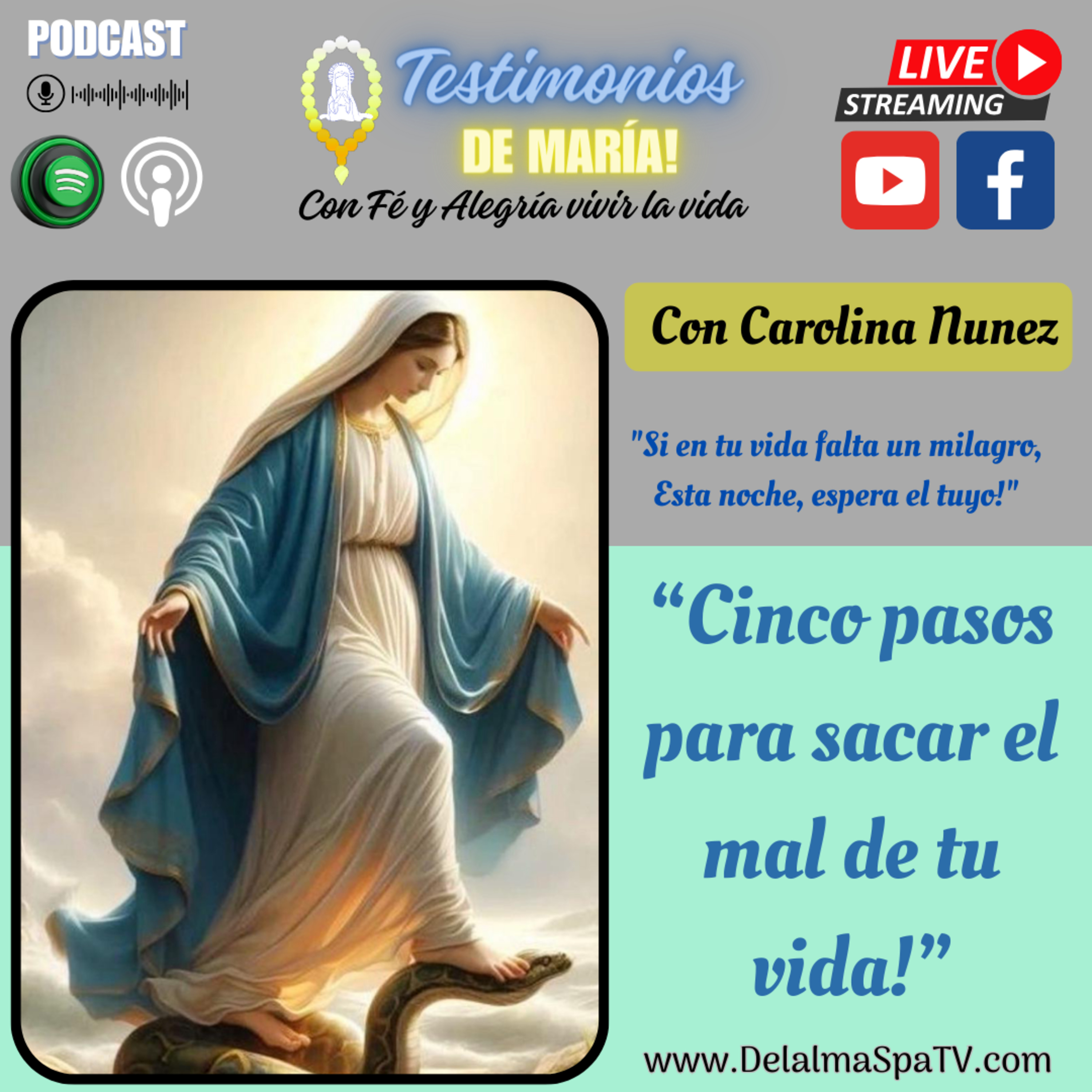 Testimonios de María - Con Fé y Alegría, Vivir la vida