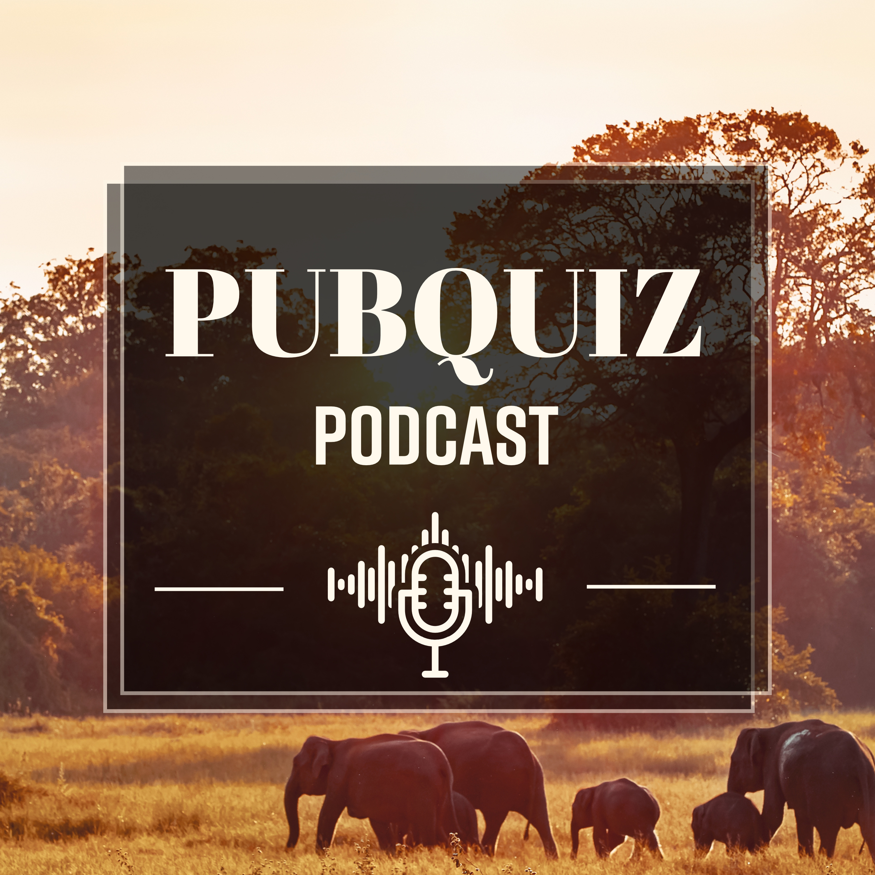 Pubquiz Podcast - Der Wissenspodcast im Quizformat