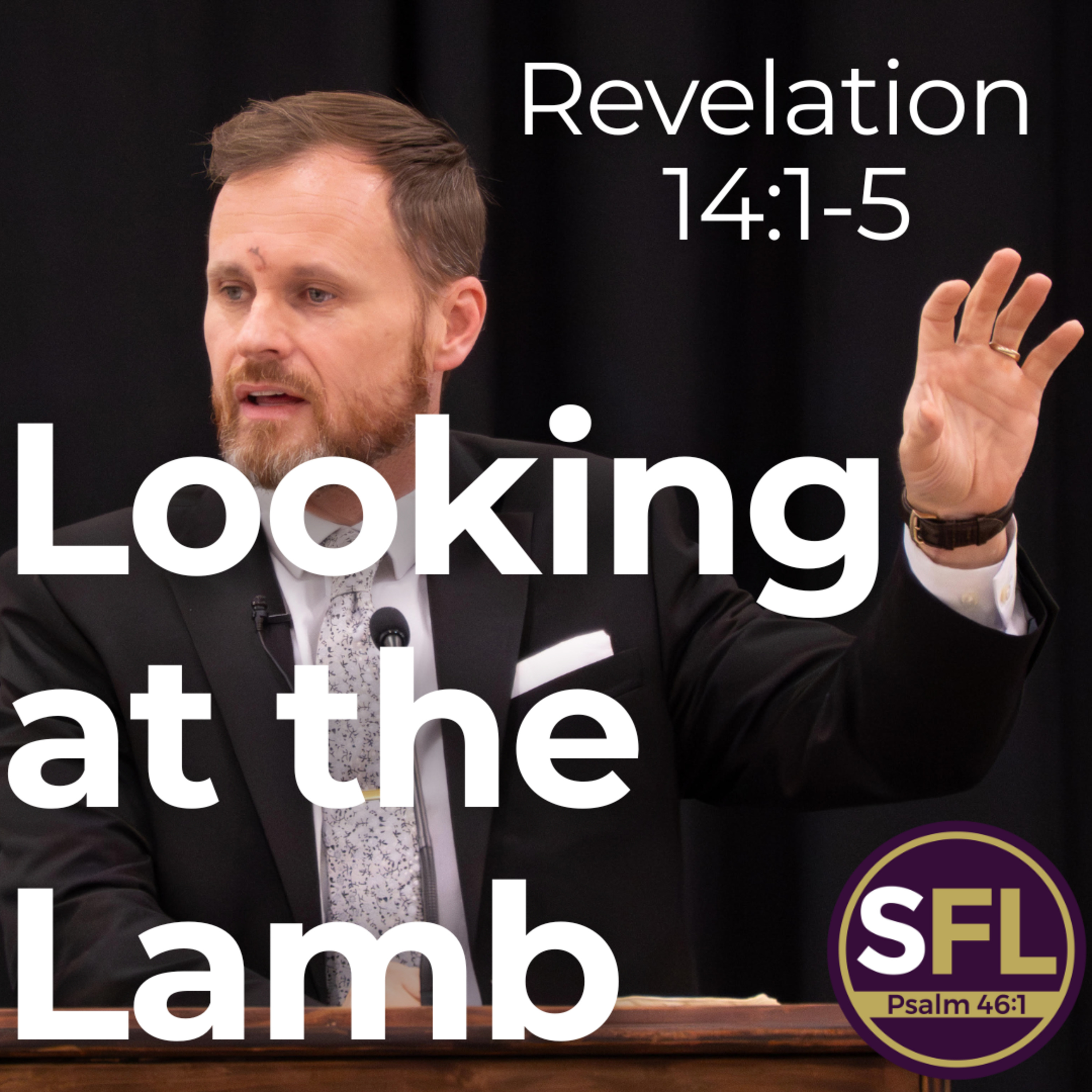 Looking at the Lamb (Revelation 14:1-5)