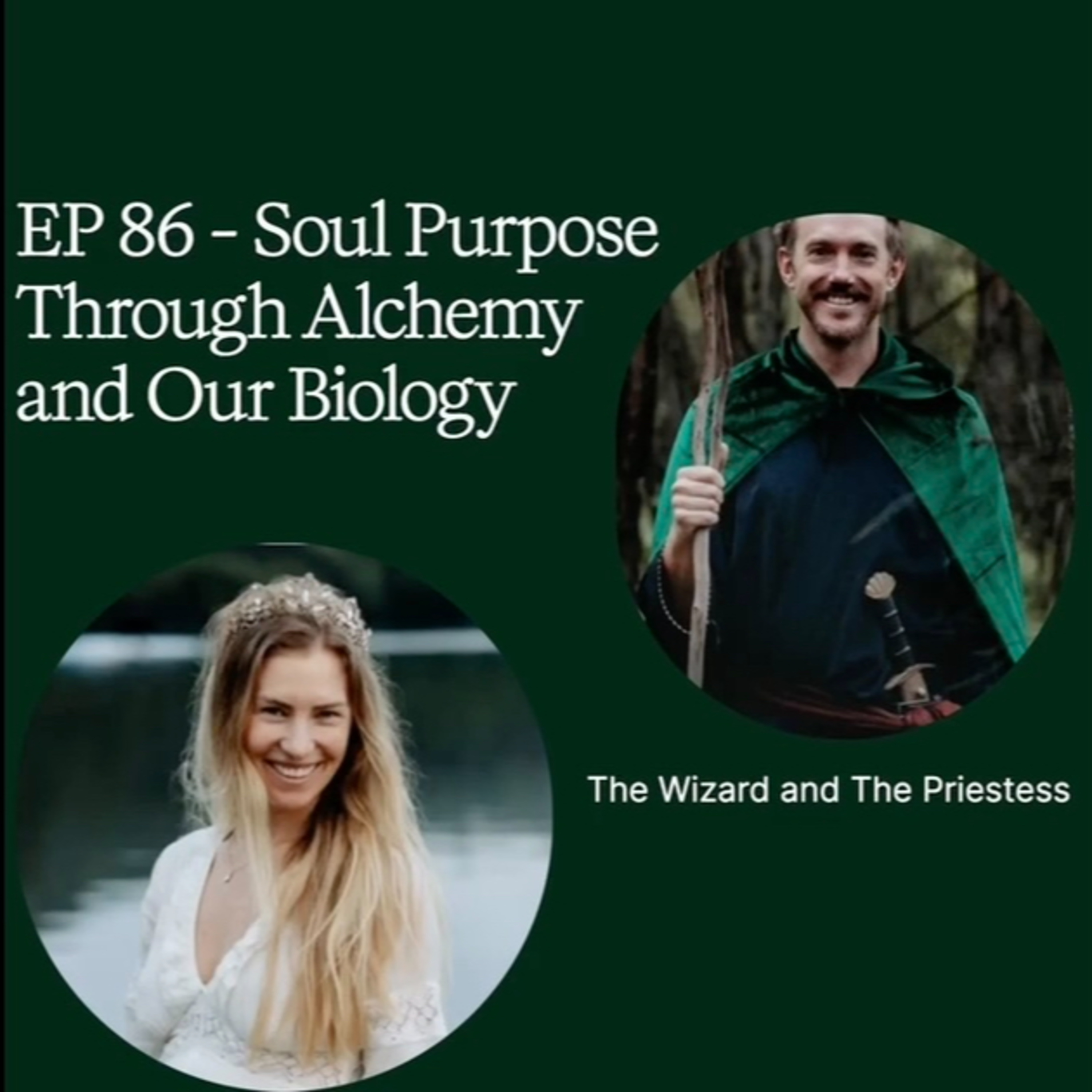 EP 86 - Soul Purpose Through Alchemy and Our Biology episode artwork