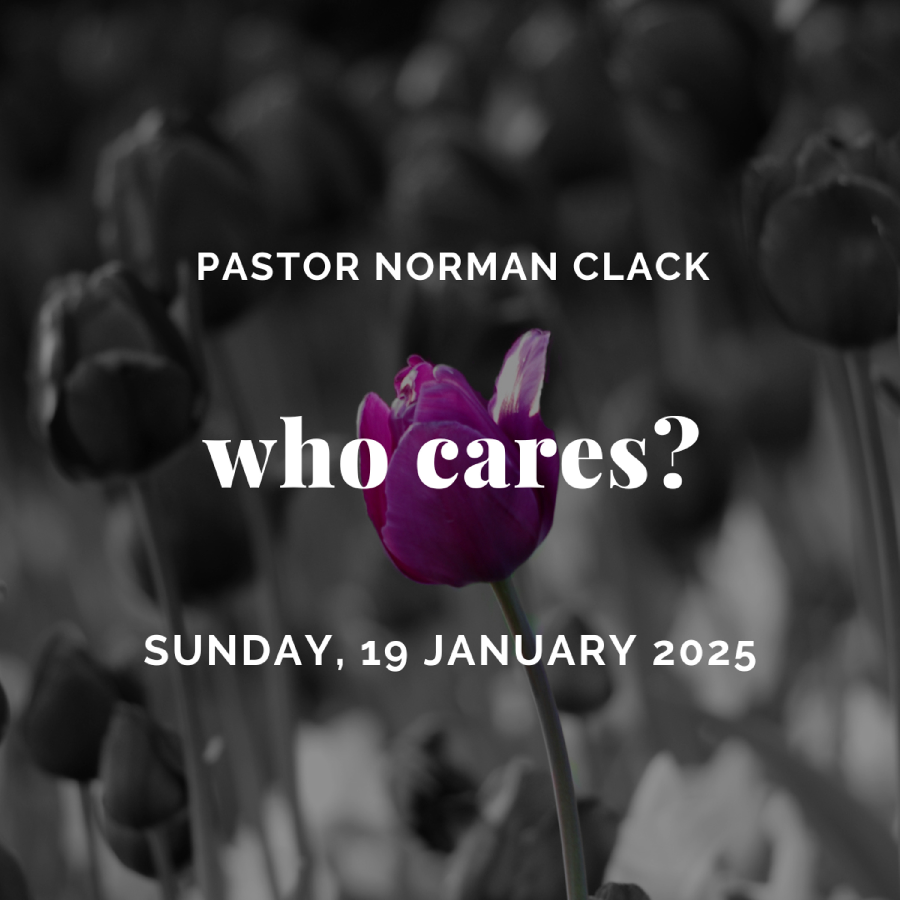 Who Cares? episode artwork