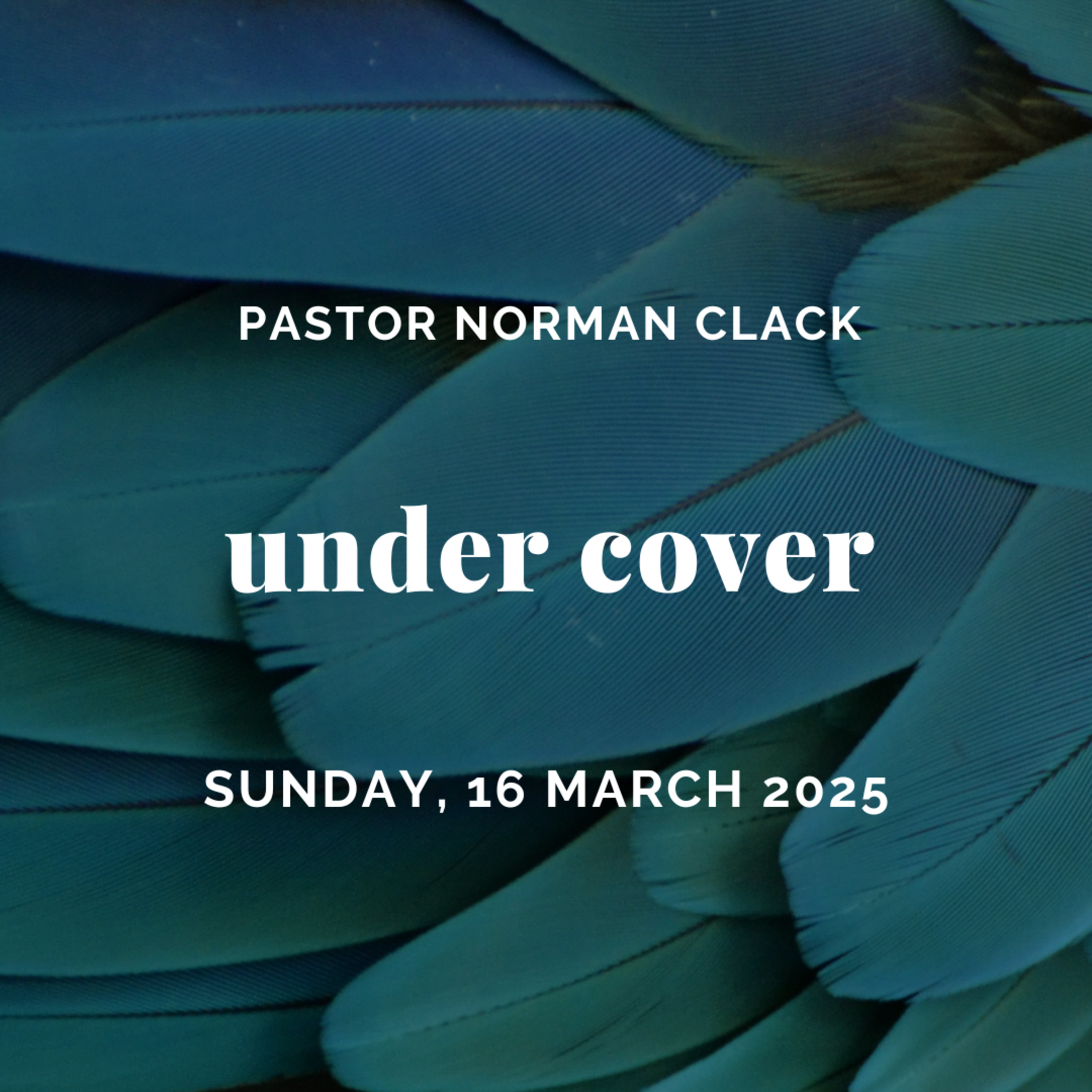 Under Cover (Full Sermon) episode artwork
