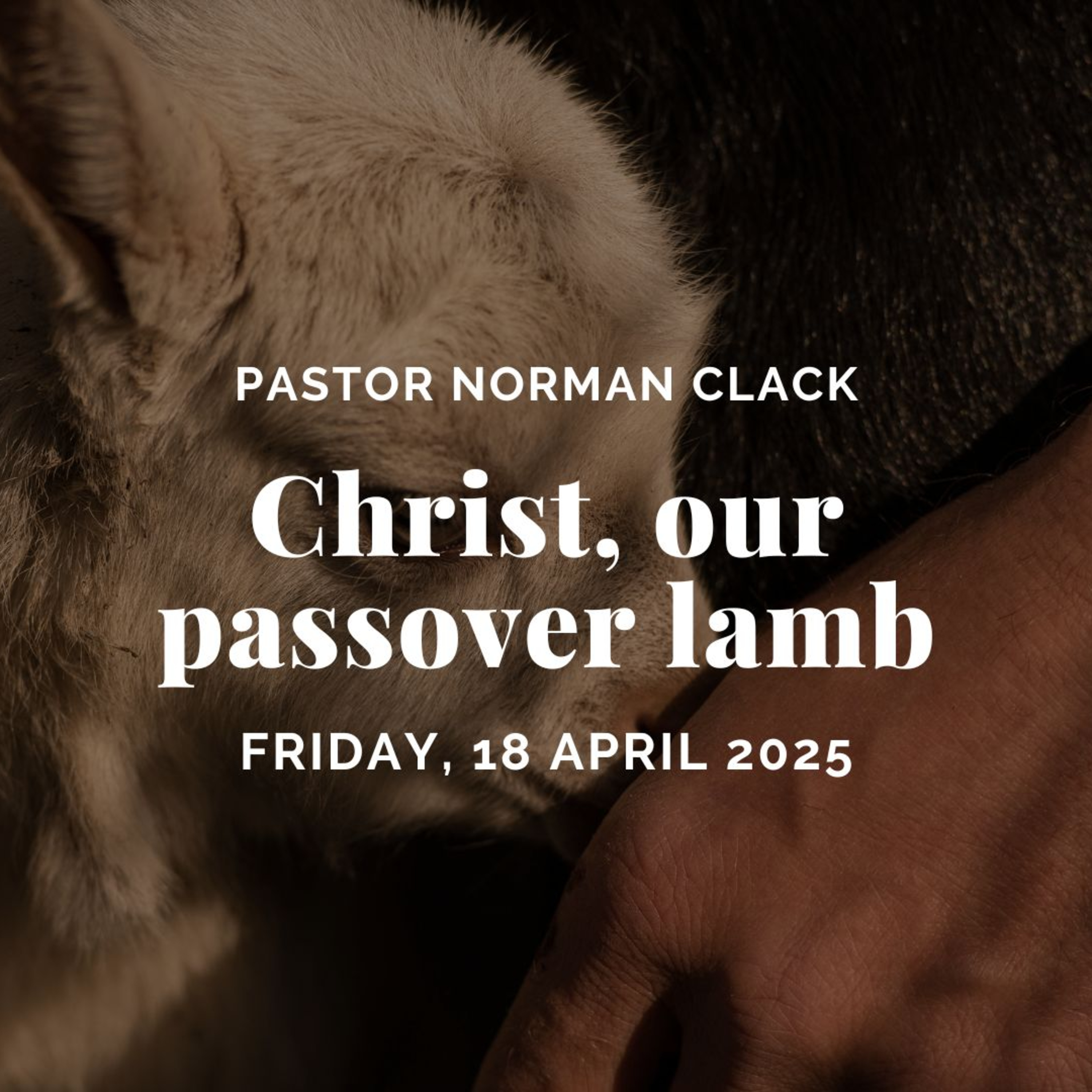 Christ, Our Passover Lamb (Full Good Friday Sermon) episode artwork