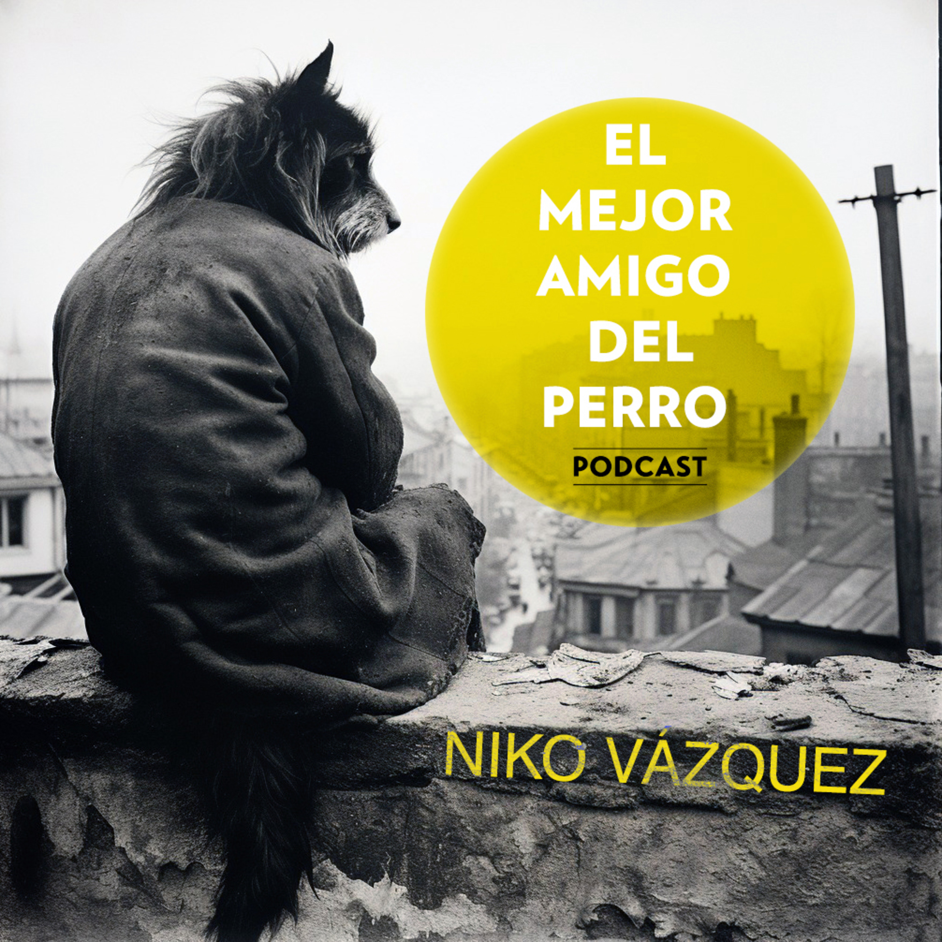 Niko Vázquez episode artwork
