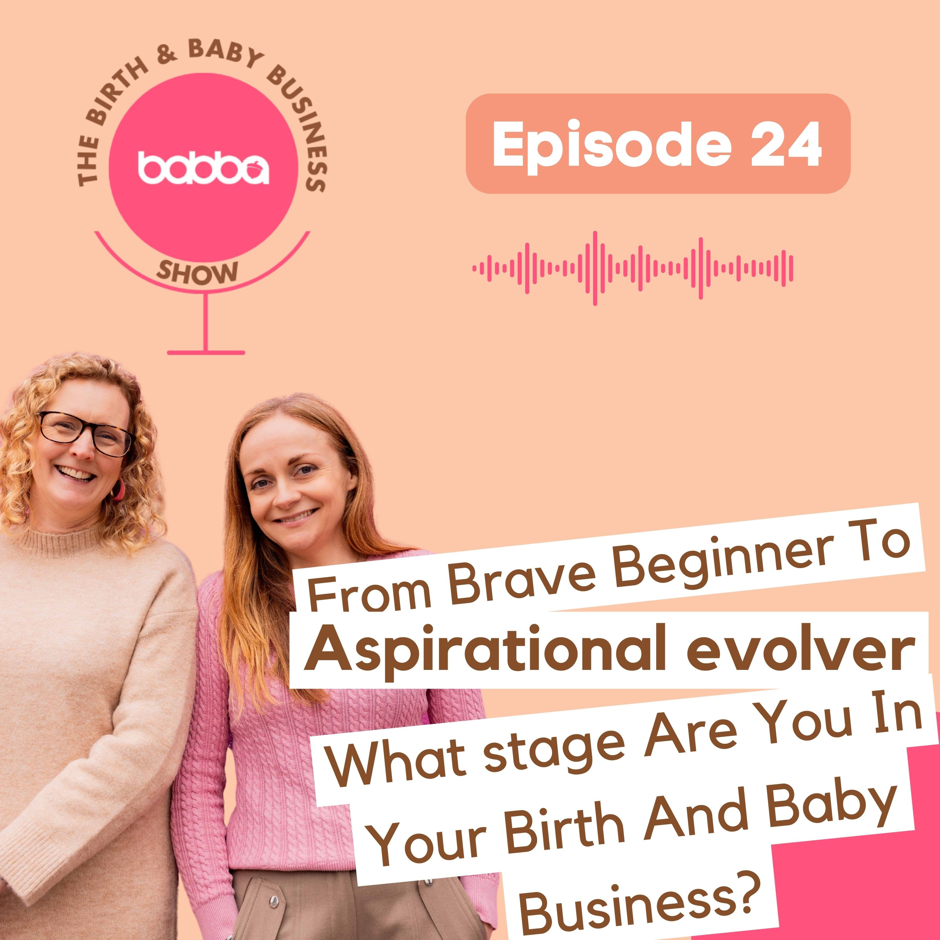 The Birth and Baby Business Show
