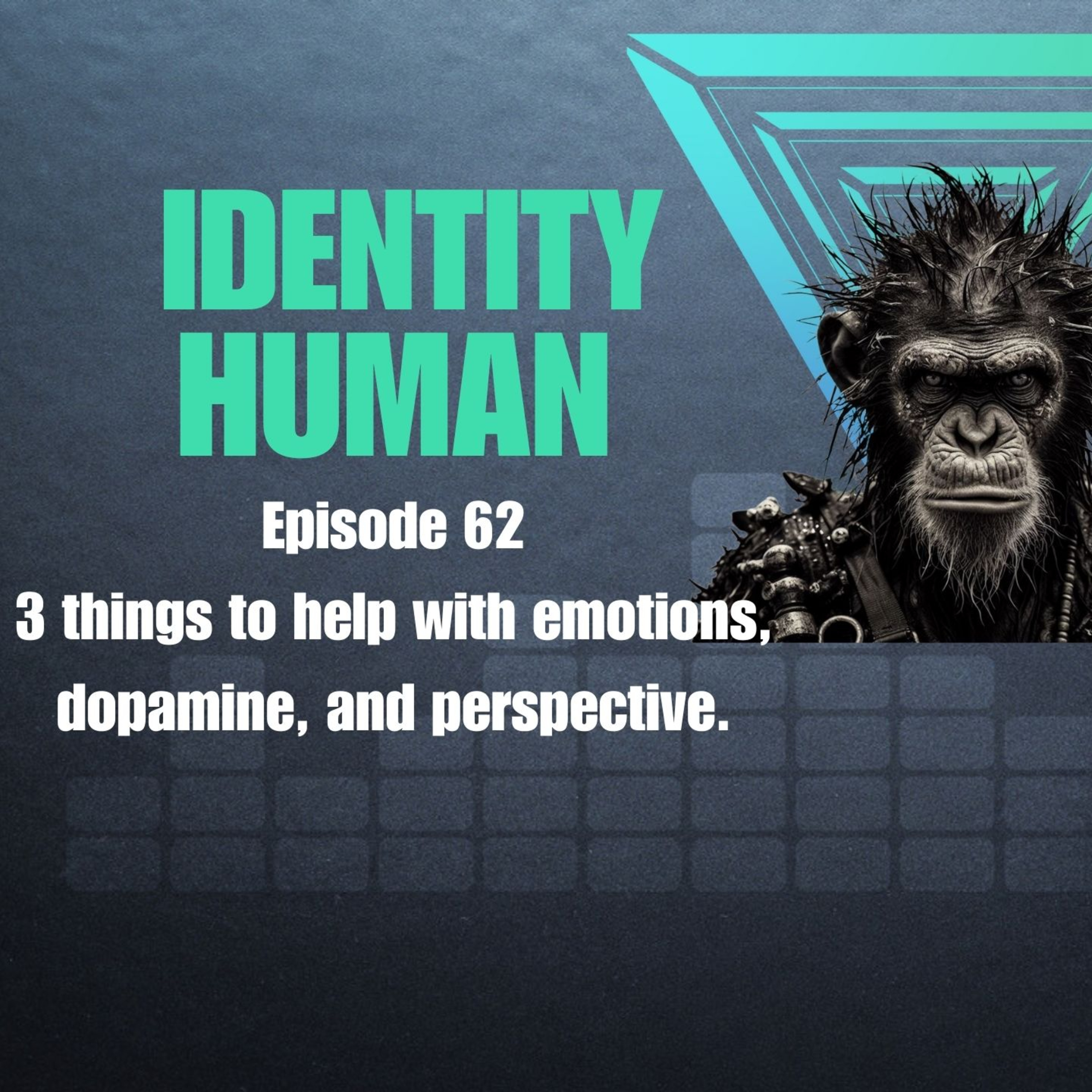 Identity Human : Don Armand