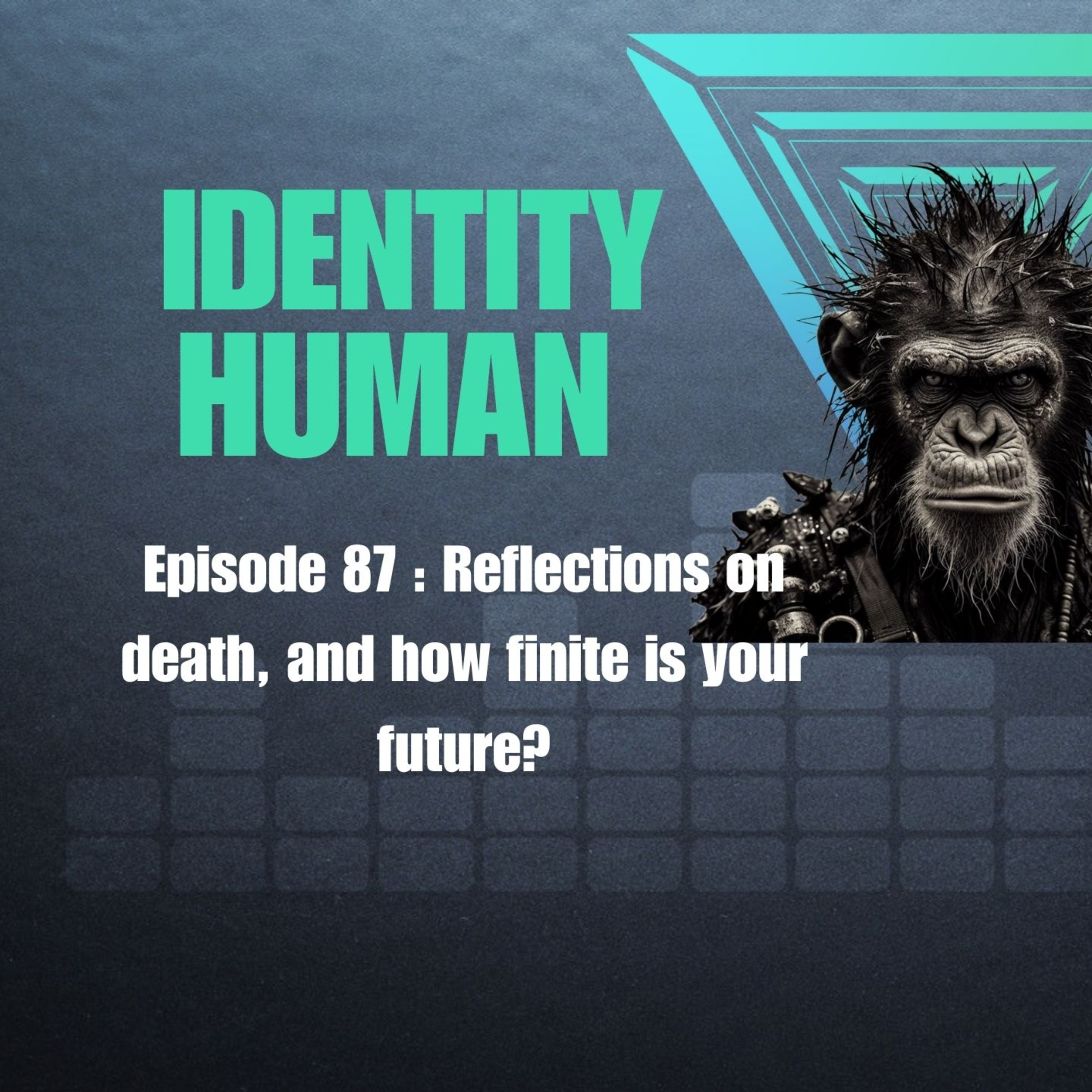 Identity Human : Don Armand