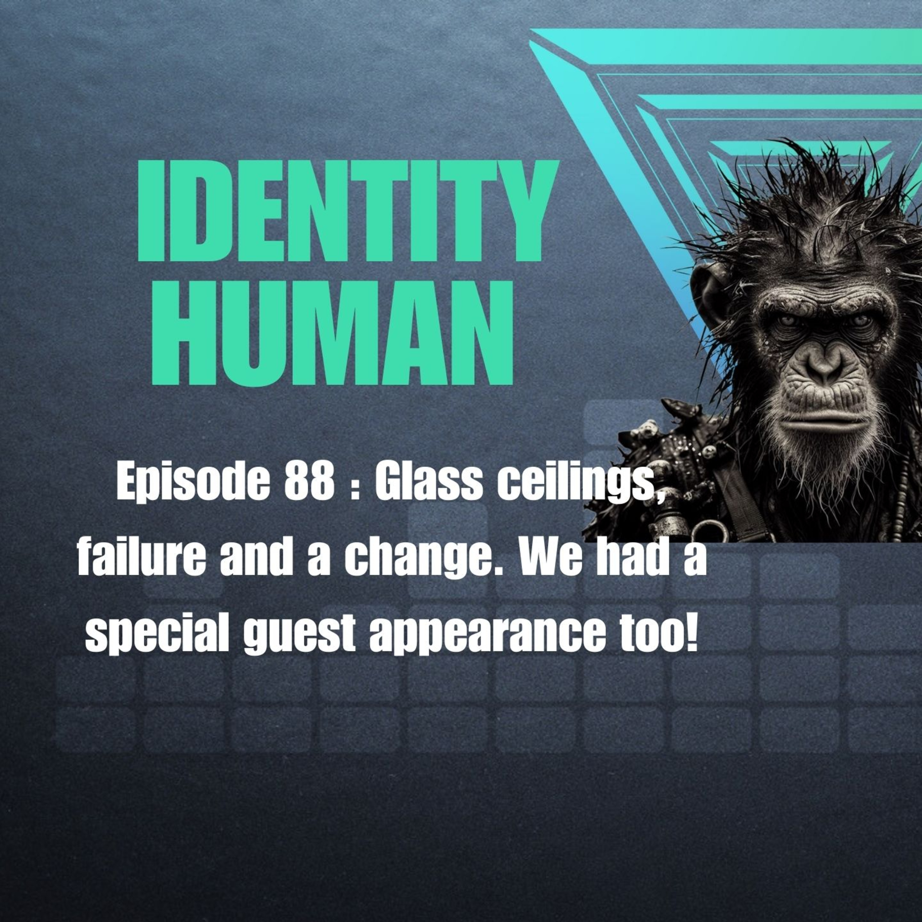 Identity Human : Don Armand