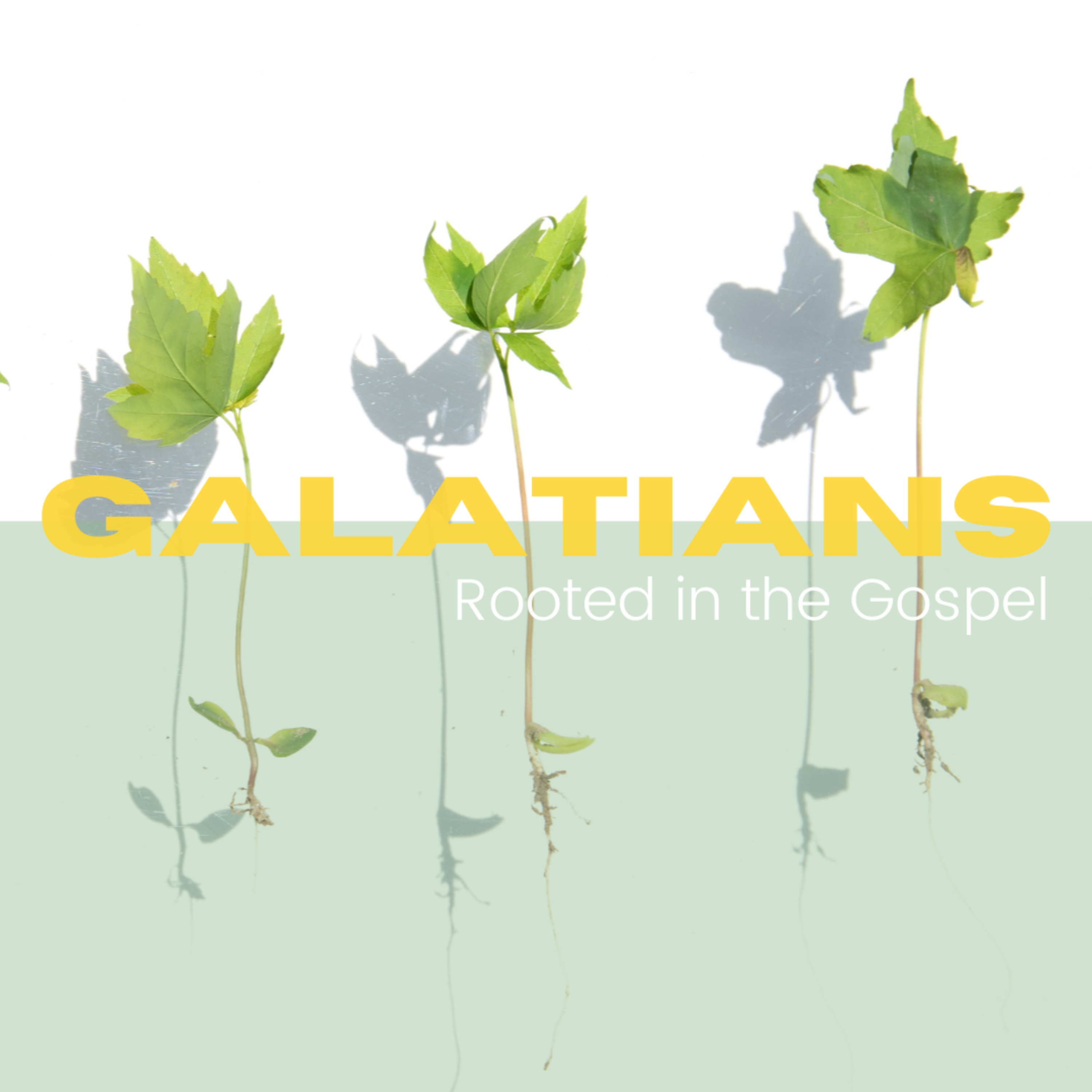 Galatians // The Marks of Jesus episode artwork