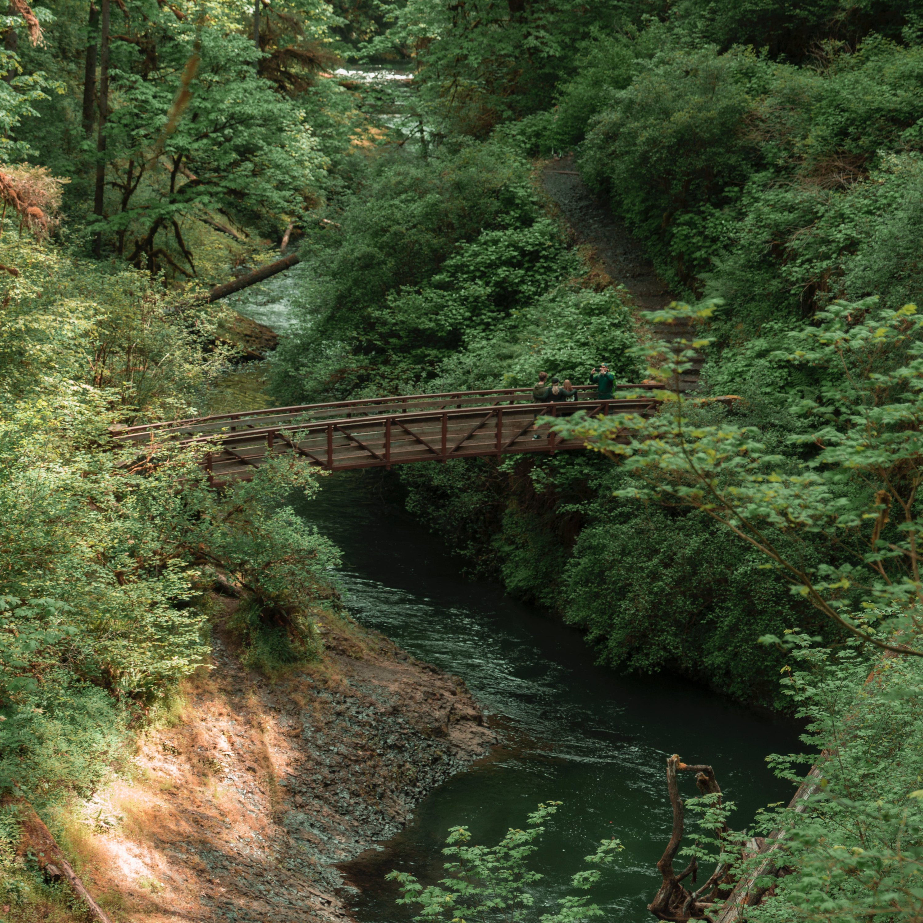 Petite rivière de Montagne