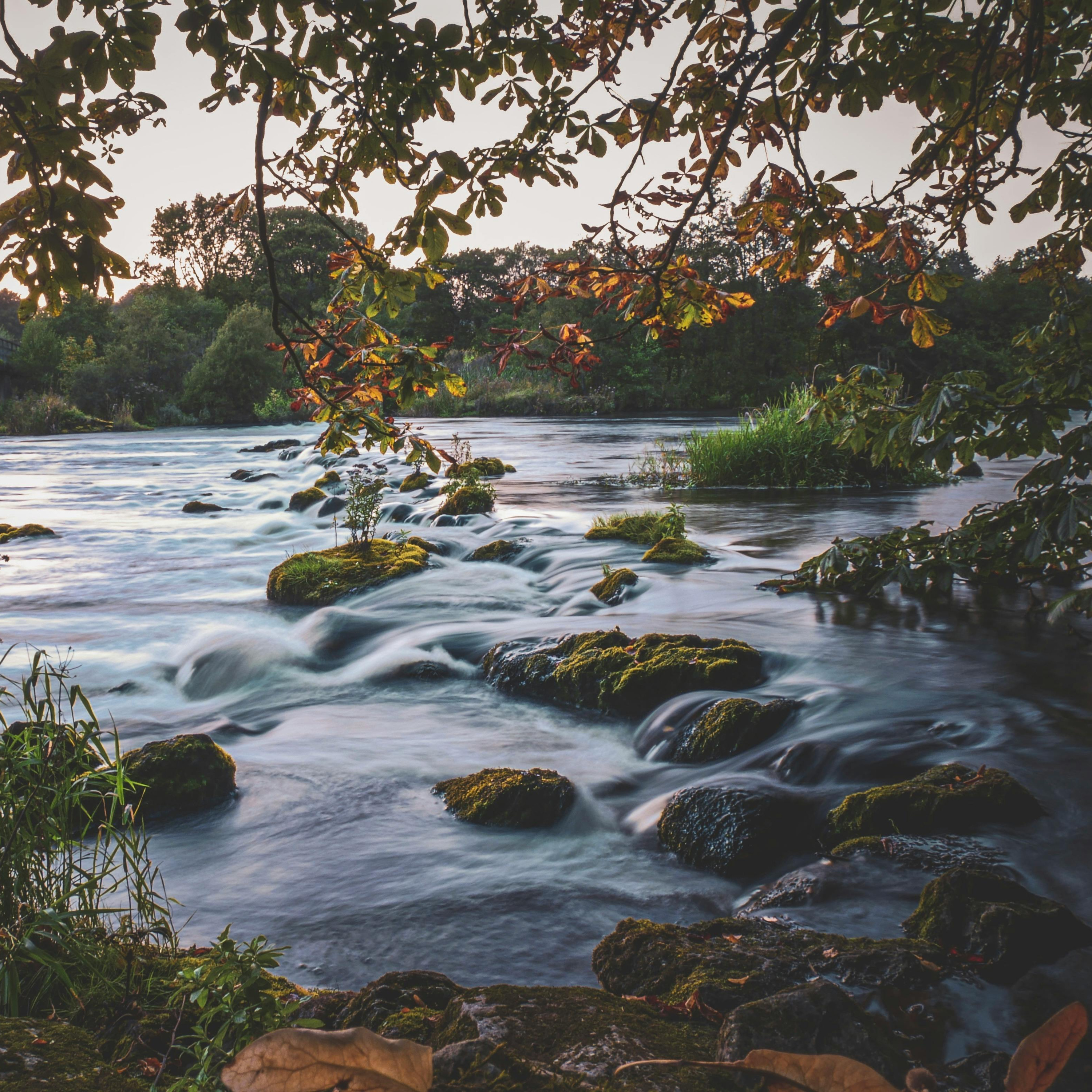 Petite rivière paisible