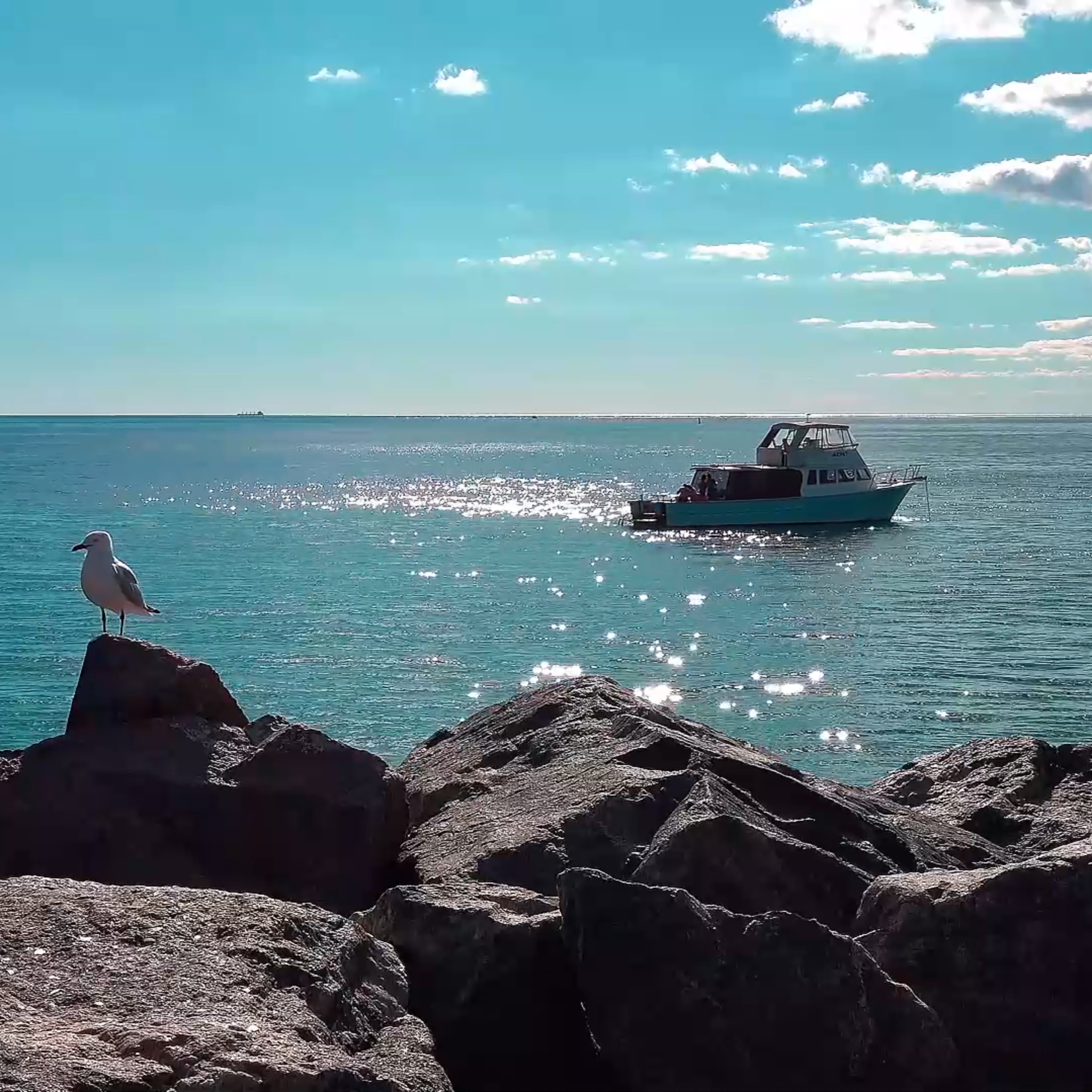Bateau au Bord de la Mer 🌊 | Cordages, Vagues & Oiseaux Marins – 8 Heures de Relaxation