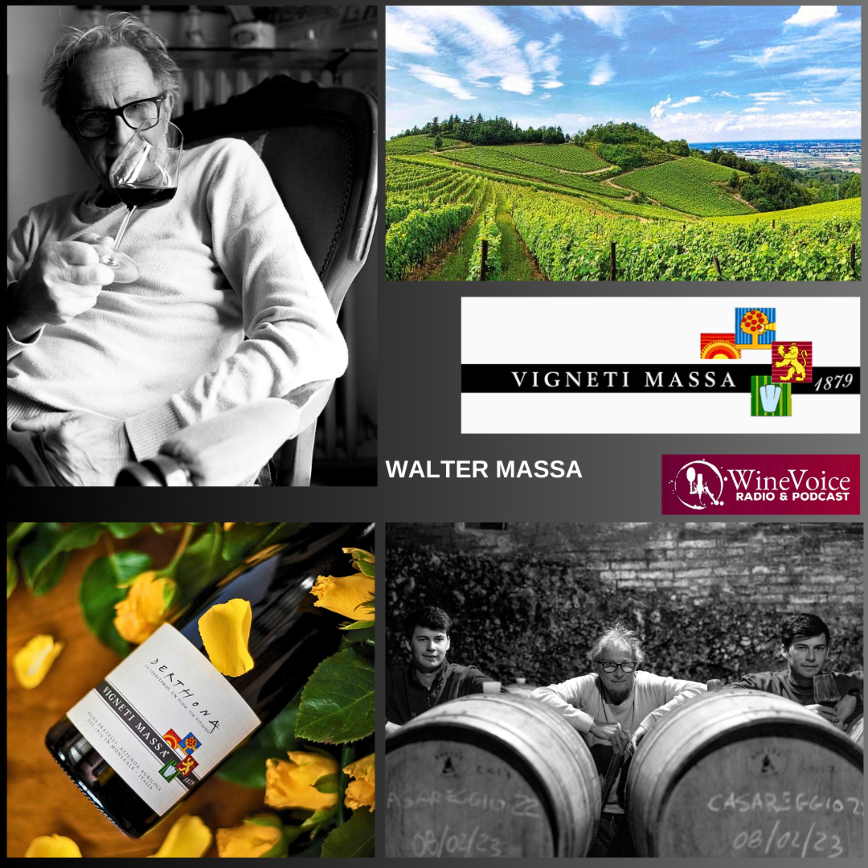 WINE VOICE Radio&Podcast