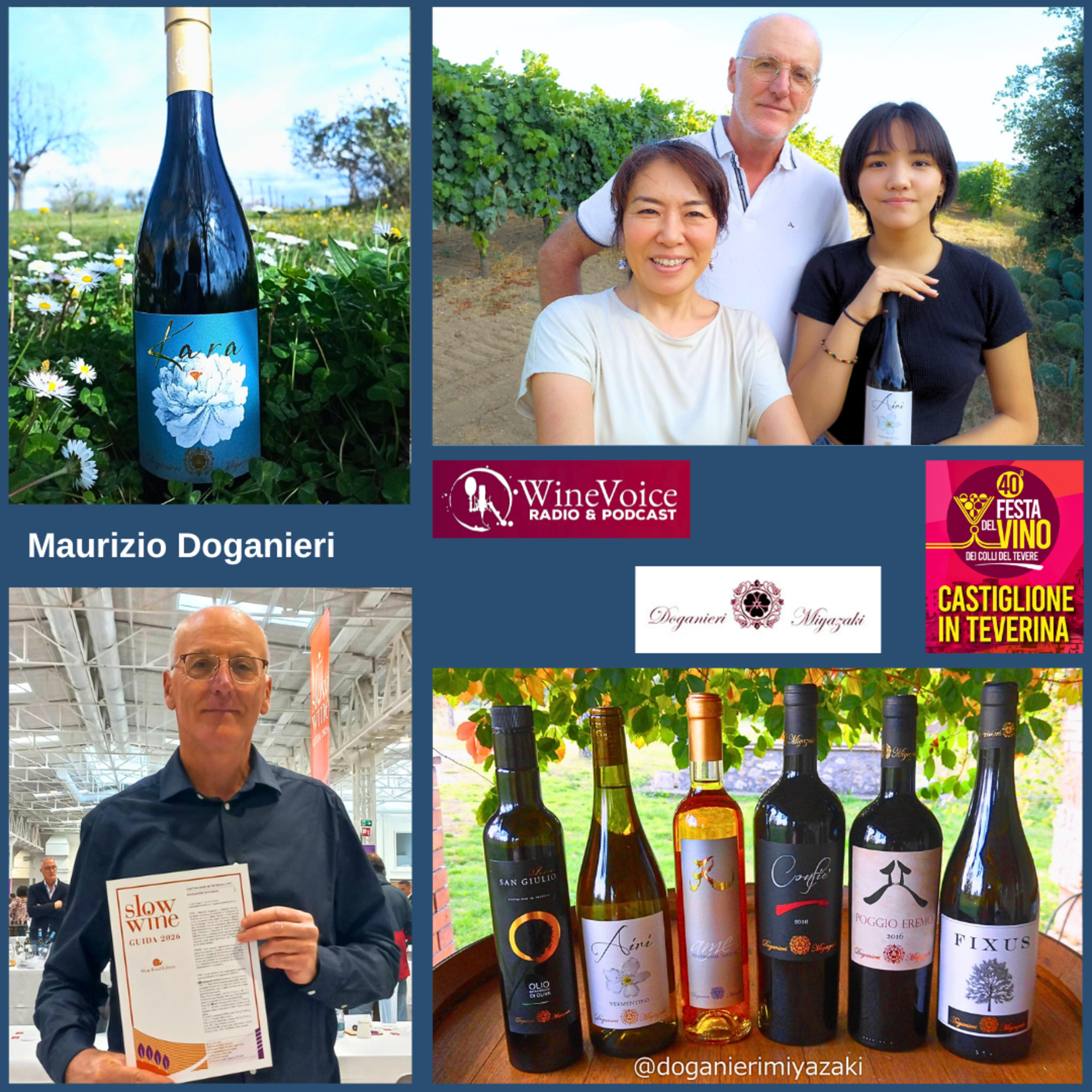 Le Terre del Vino: 40° Festa del Vino Colli del Tevere - DOGANIERI MIYAZAKY (Lazio)