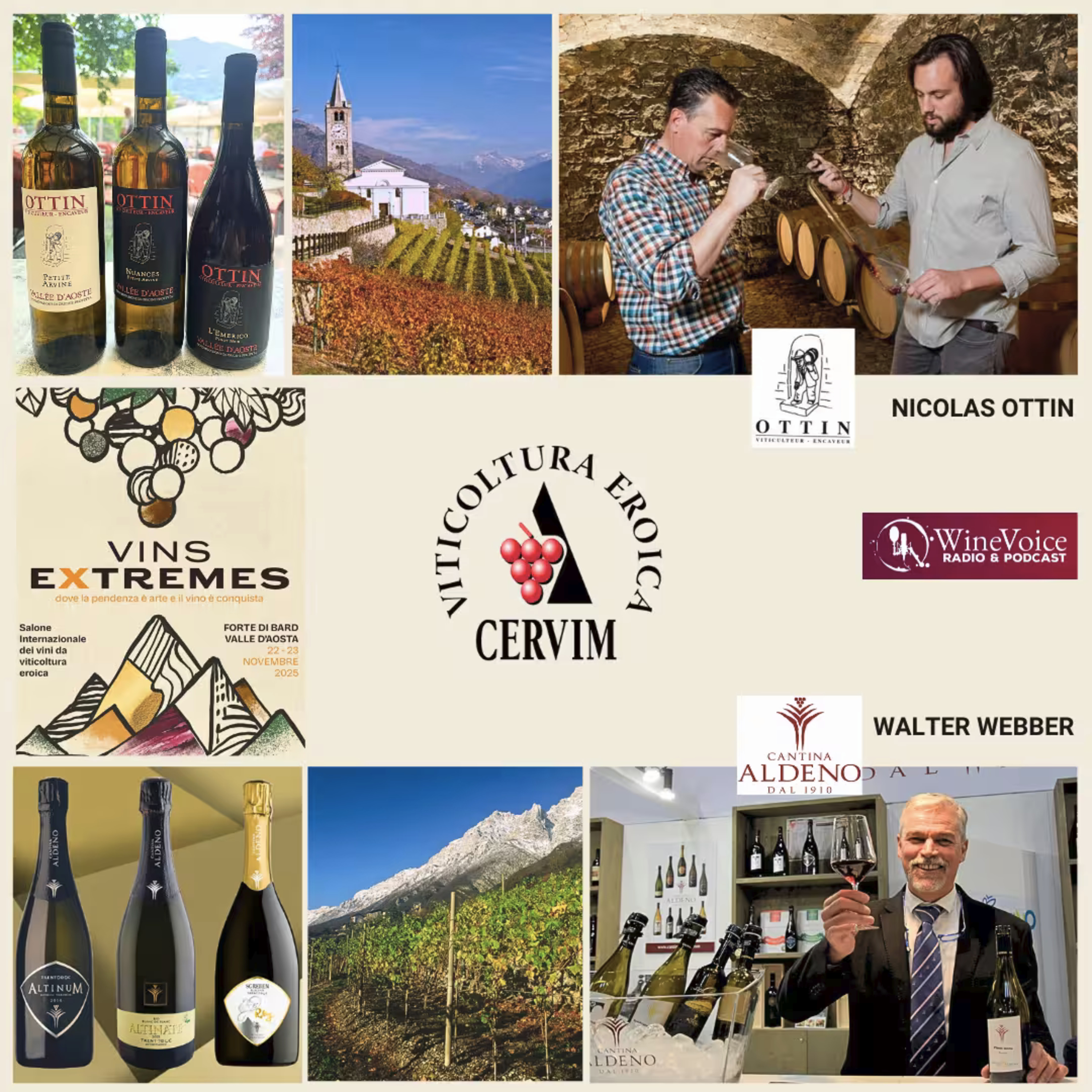 Le Terre del Vino: VINS EXTREMES - Val d'Aosta e Trentino, storie di veri eroi!  episode artwork