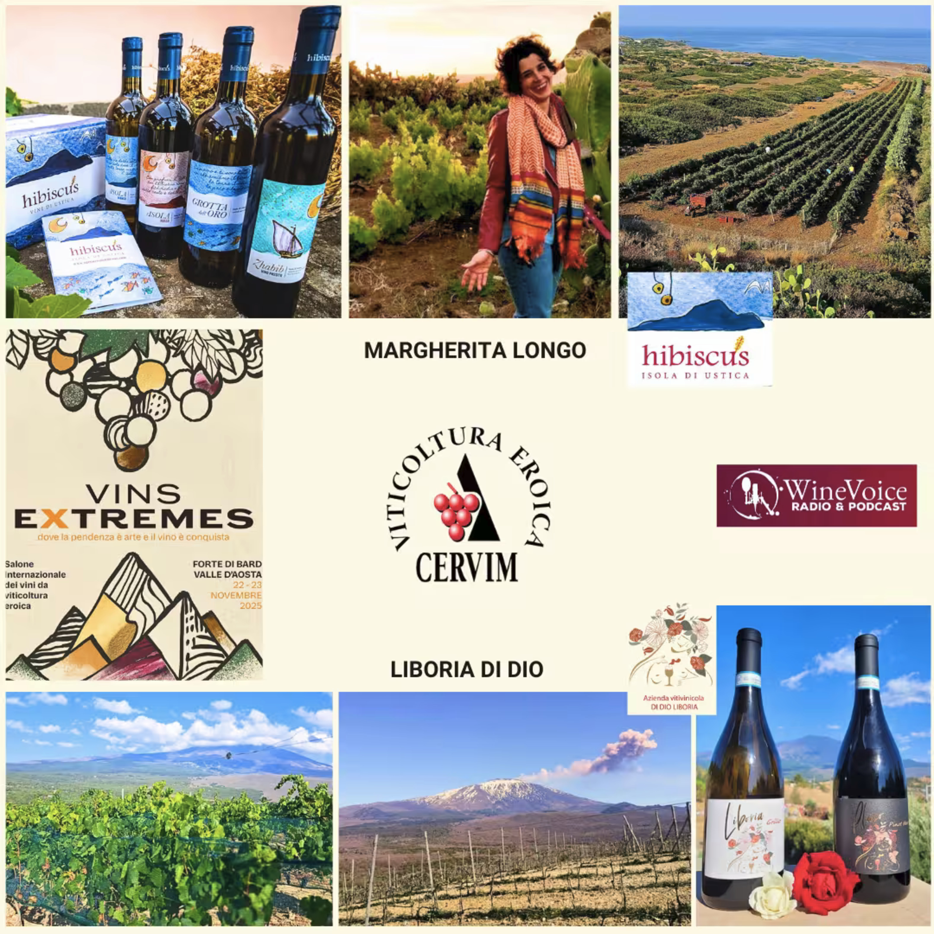 Le Terre del Vino: VINS EXTREMES - La Sicilia eroica al femminile: l'isola di Ustica e l'Etna di Bronte episode artwork