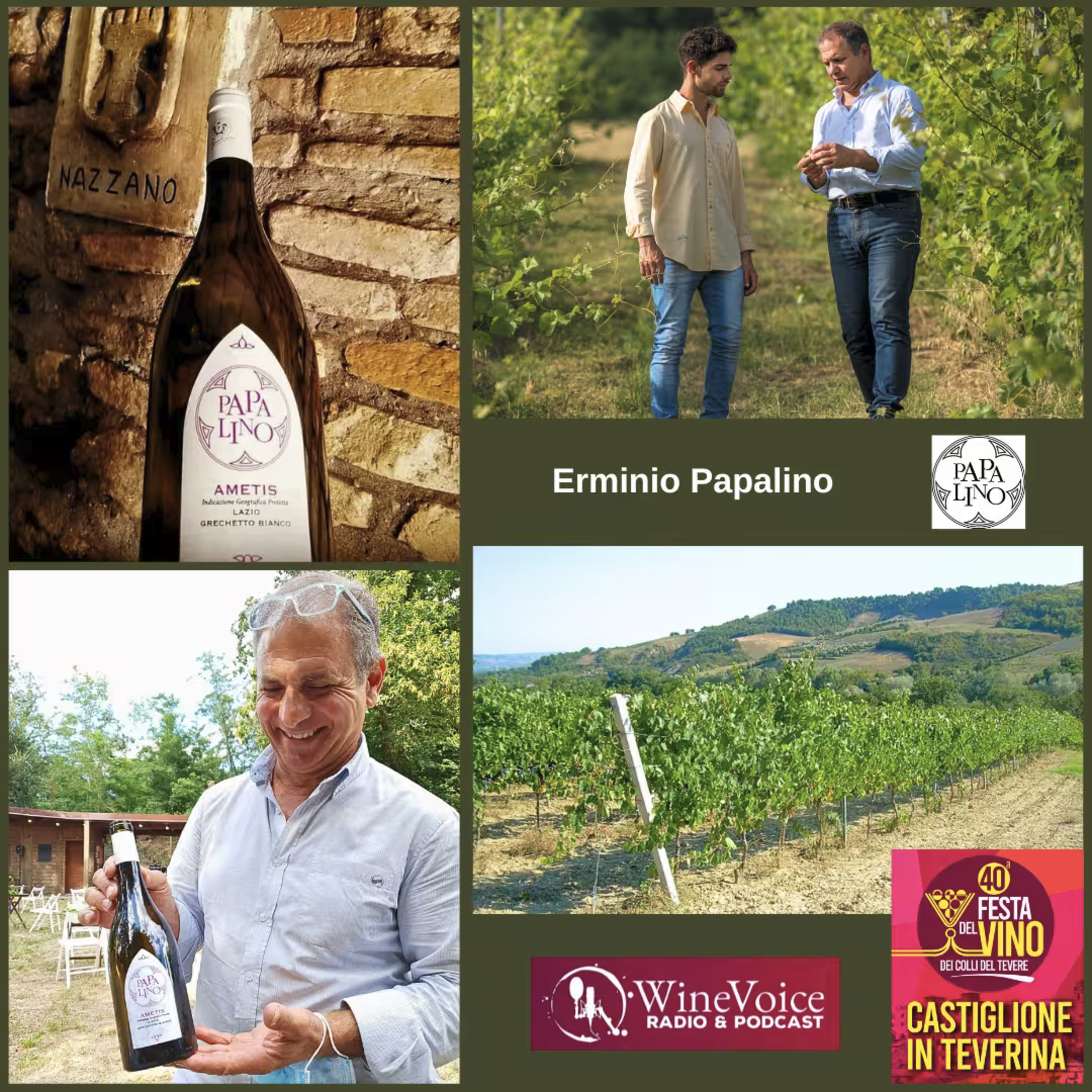 Le Terre del Vino: PAPALINO (Alta Tuscia) - 40° Festa del Vino Colli del Tevere episode artwork