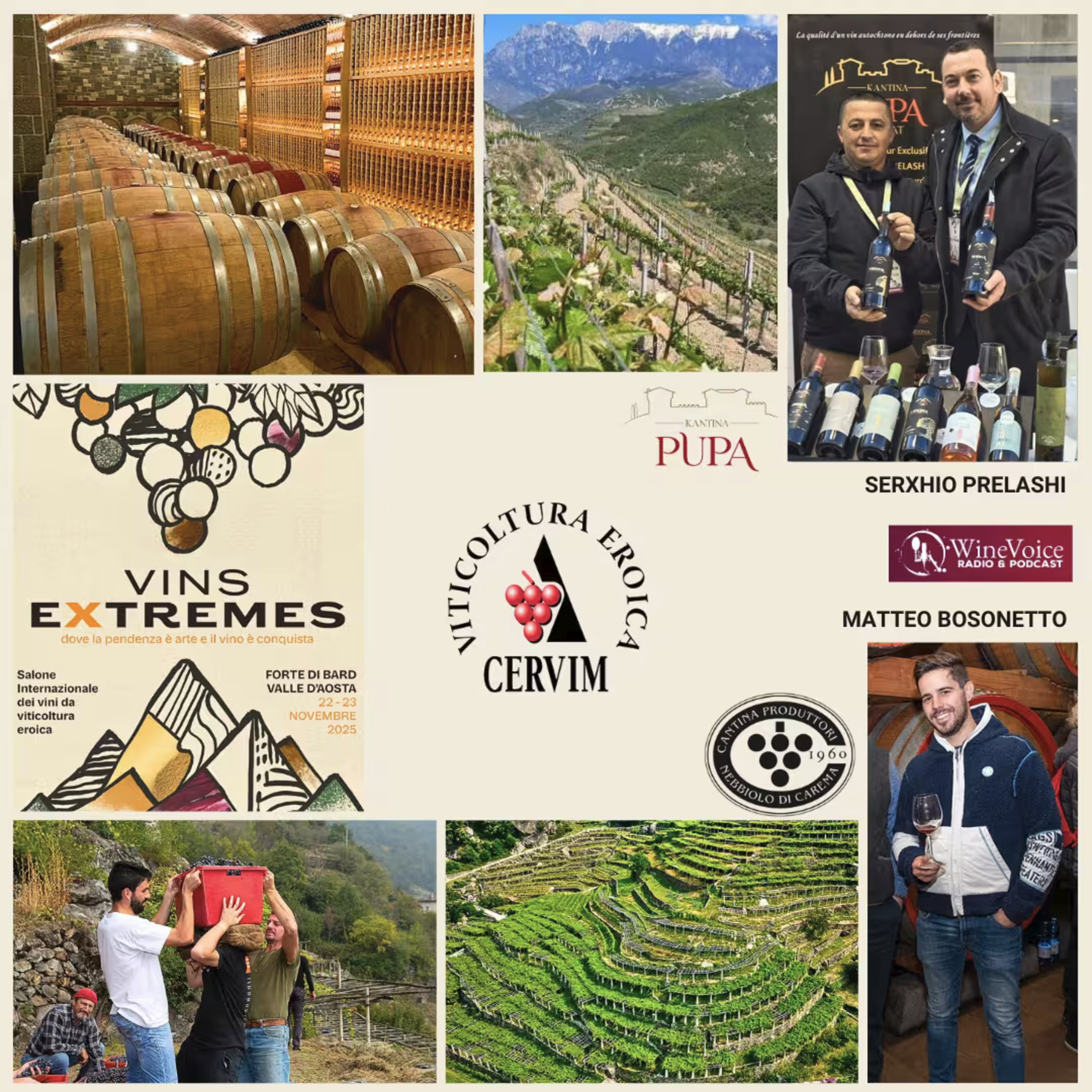 Le Terre del Vino: VINS EXTREMES - Carema (TO) e Berat (Albania) la viticoltura eroica che presidia Storie secolari! episode artwork
