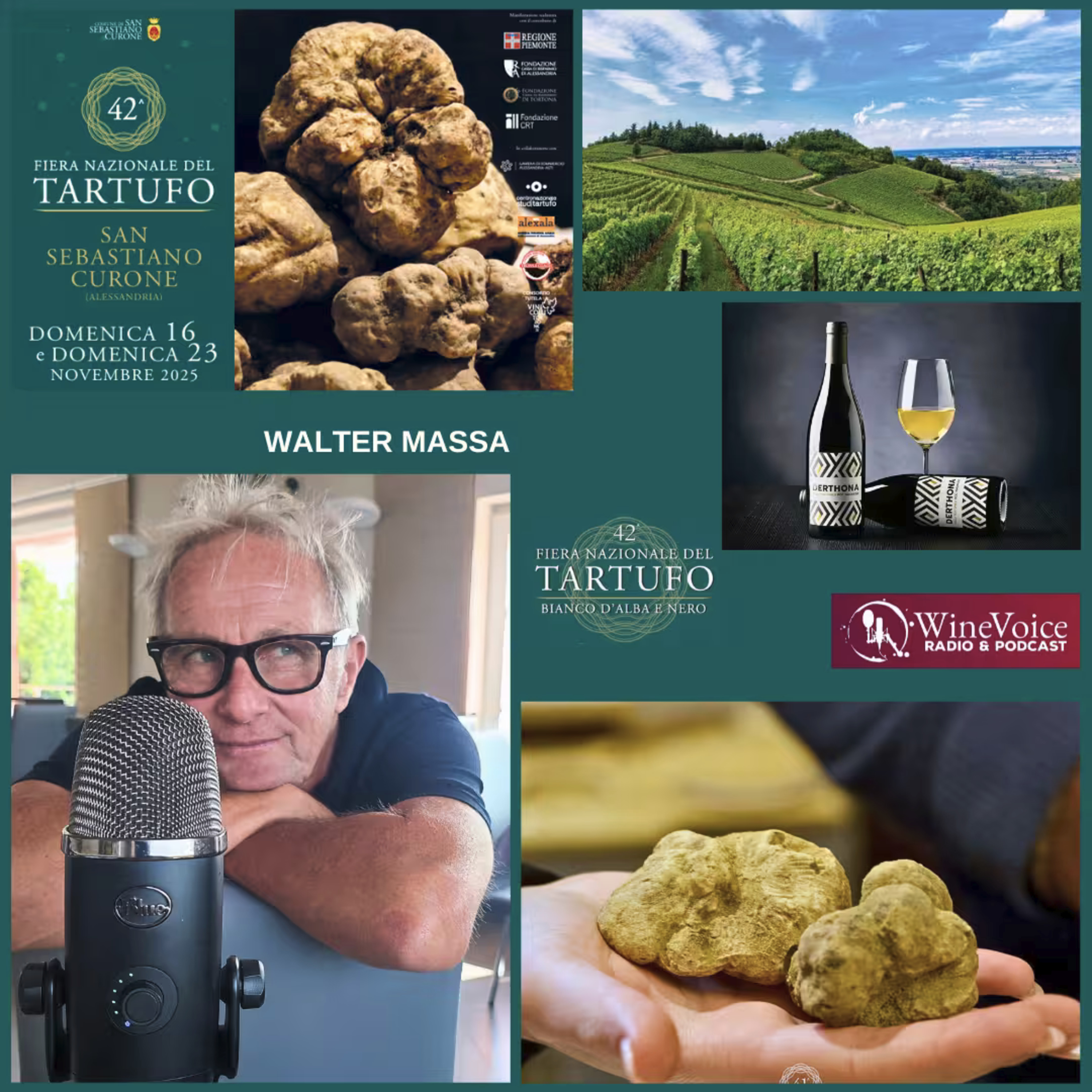 Le Terre del Vino: 42° Fiera Tartufo S.Sebastiano Curone (AL) WALTER MASSA: Un territorio forte in cui poter crescere! episode artwork