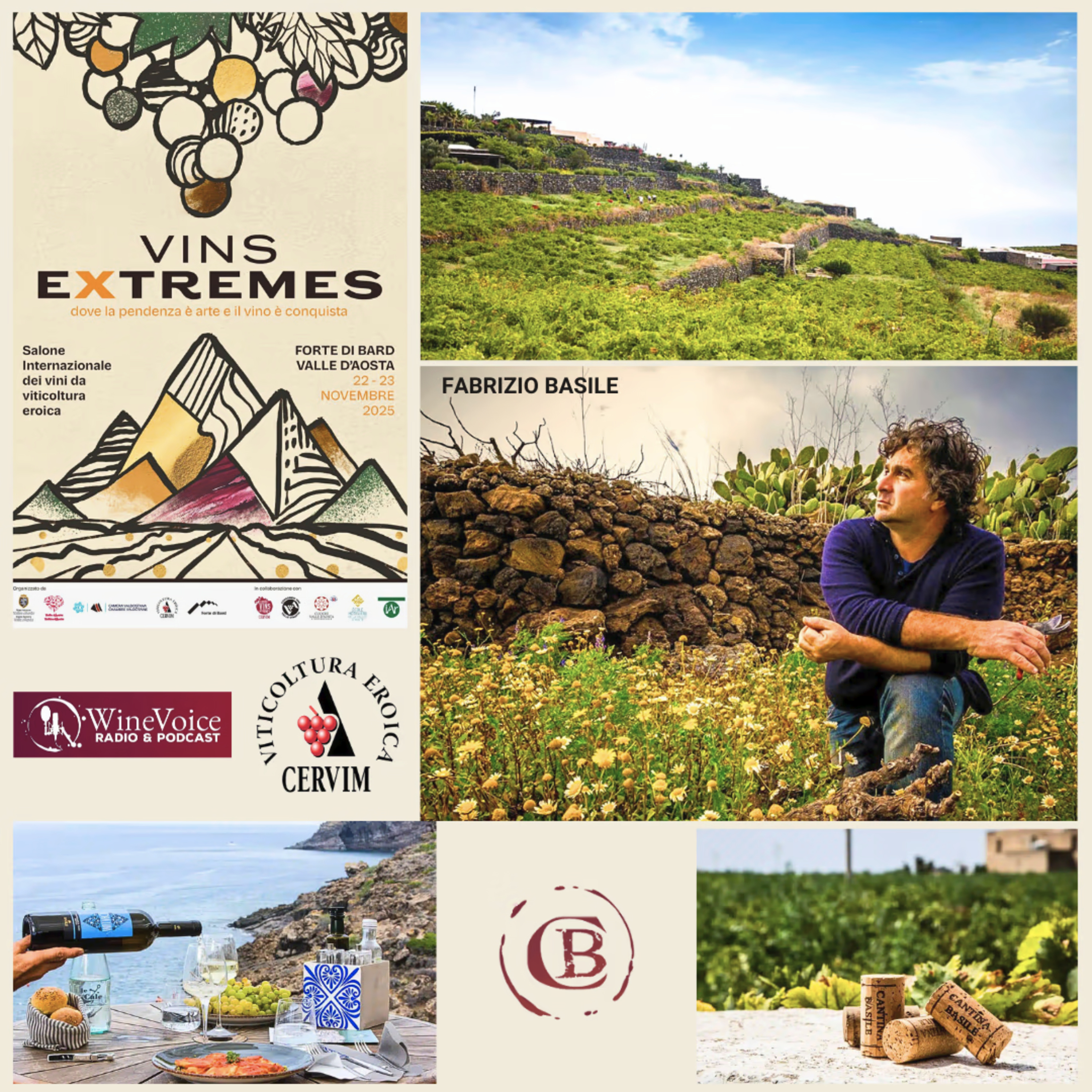 Le Terre del Vino: VINS EXTREMES - FABRIZIO BASILE, da Pantelleria Tradizioni tenaci e forti emozioni! episode artwork