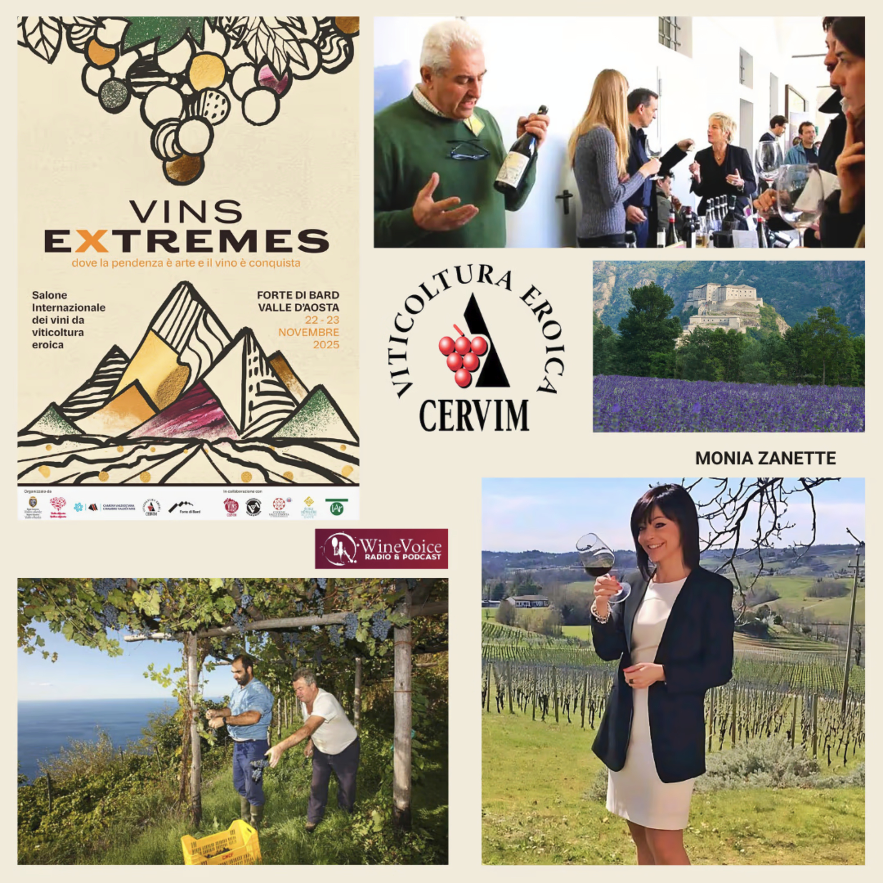 Le Terre del Vino: VINS EXTREMES - Monia Zanette, il talento e la sensibilità contemporanea! episode artwork