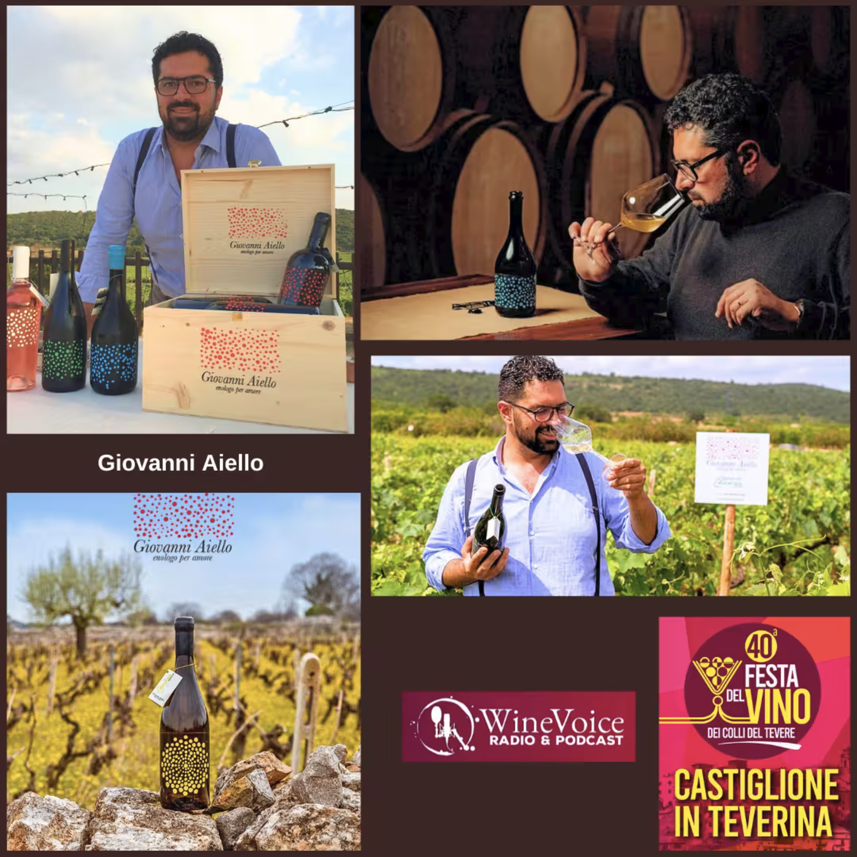 Le Terre del Vino: GIOVANNI AIELLO, Enologo per Amore (Puglia) - 40° Festa del Vino Colli del Tevere episode artwork