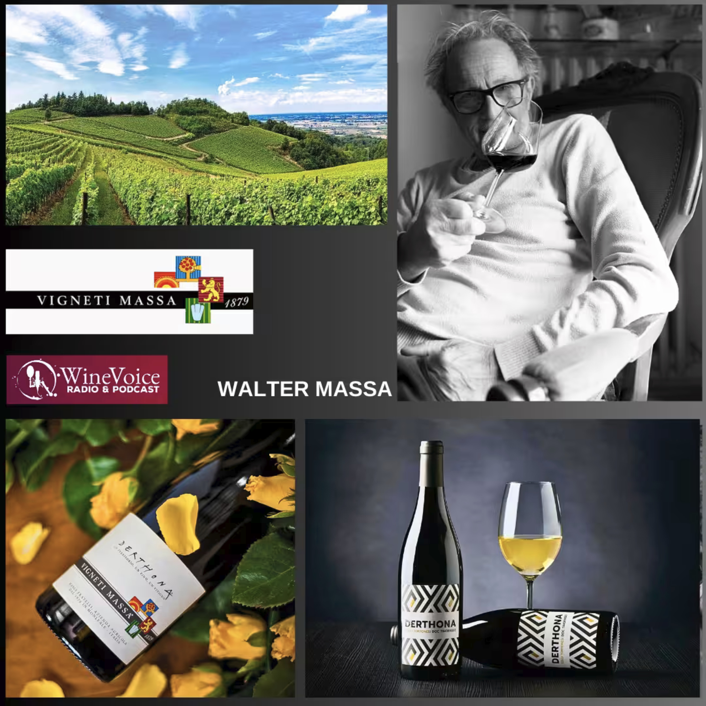 Benvenuti in Cantina: WALTER MASSA, il Paladino del Timorasso (Piemonte) episode artwork