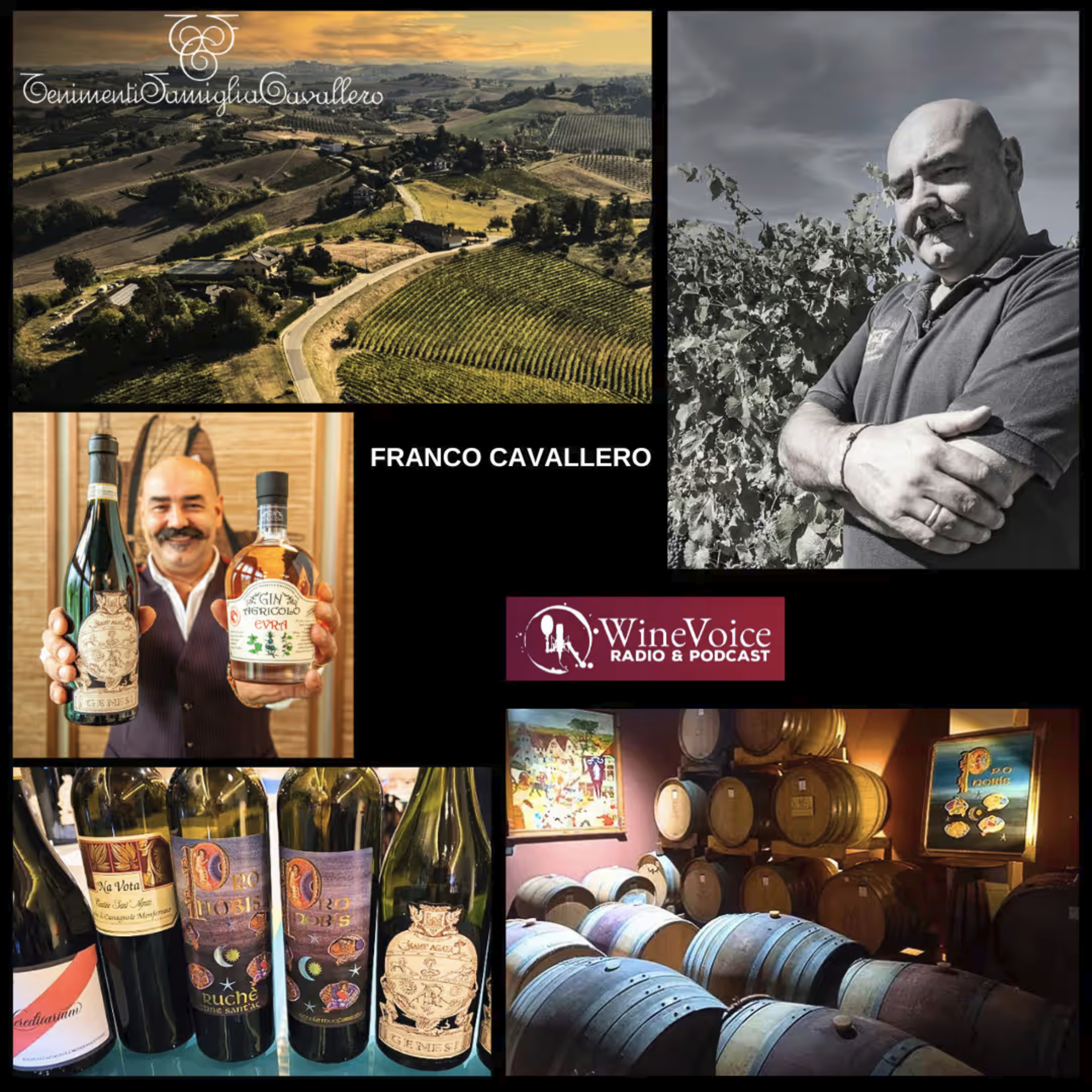 Benvenuti in Cantina: CANTINE SANT'AGATA "Franco Cavallero, il Ruchè nel mondo !" 3/3 (Piemonte) episode artwork
