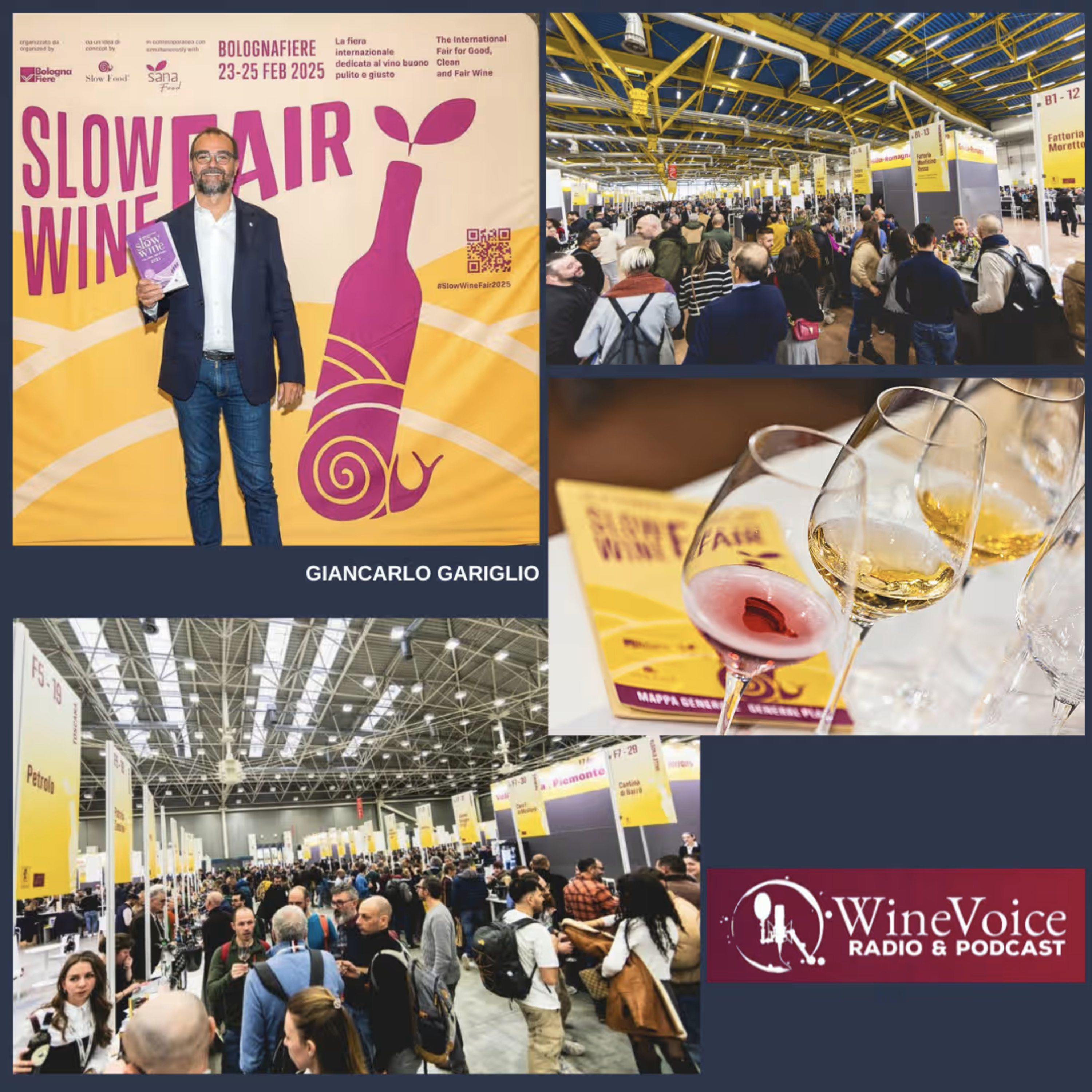 Le Terre del Vino: SLOW WINE FAIR 2025 - Giancarlo Gariglio episode artwork