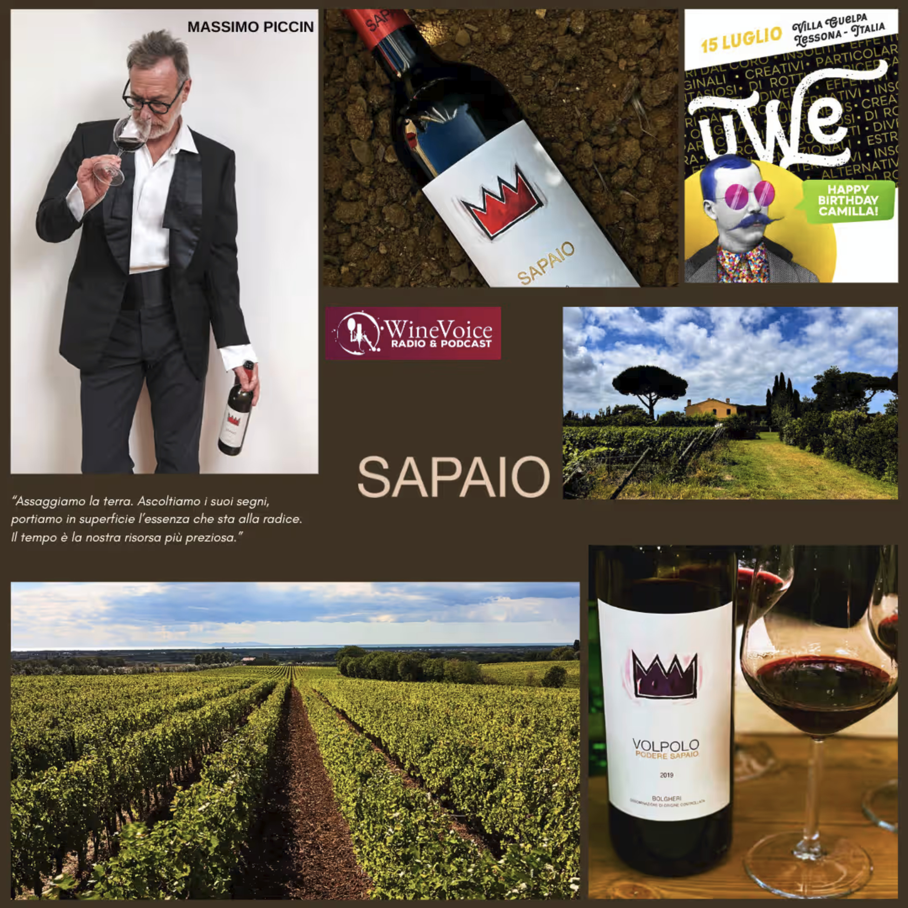Le Terre del Vino: UWE2024 - MASSIMO PICCIN - Podere Sapaio (Bolgheri) episode artwork