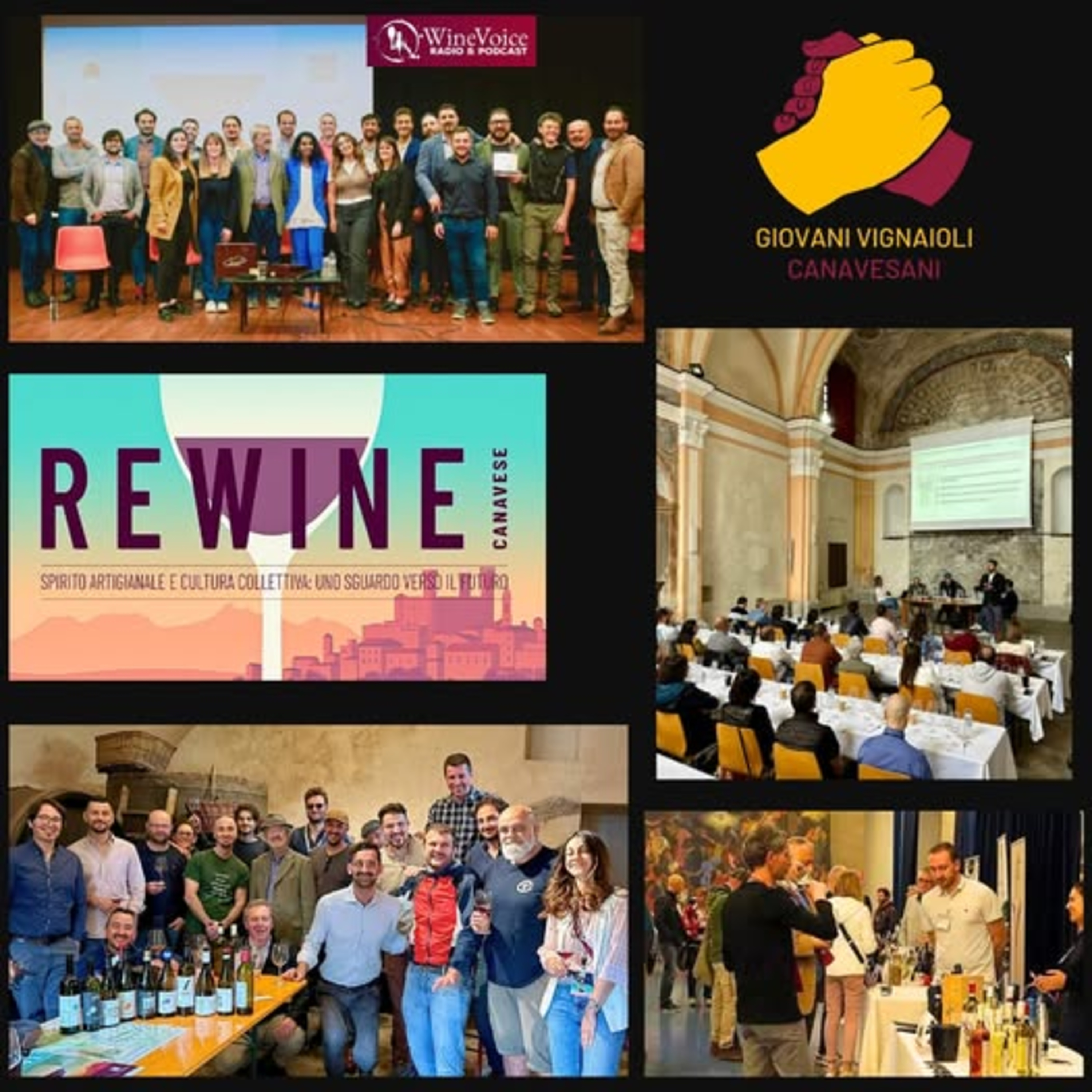 Le Terre del Vino: REWINE 2024 (Piemonte) - Giovani Vignaioli Canavesani episode artwork
