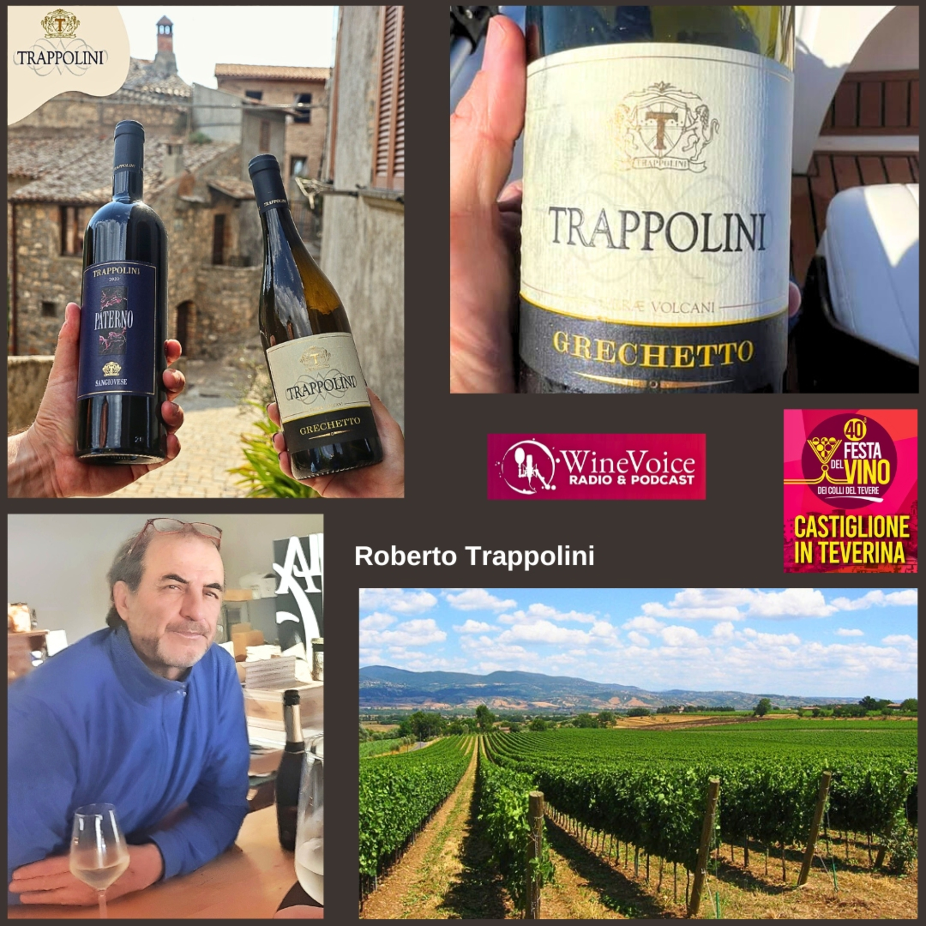 Le Terre del Vino: TRAPPOLINI (Alta Tuscia) - 40° Festa del Vino Colli del Tevere episode artwork