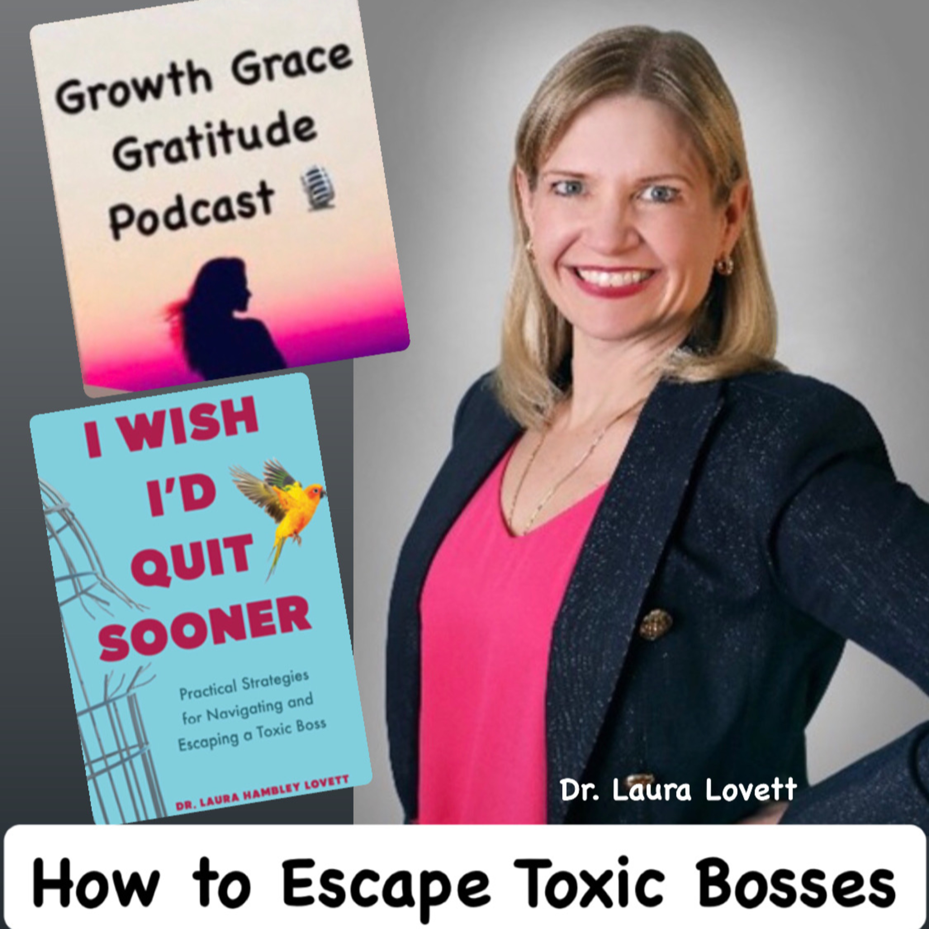 How to Escape Toxic Leadership: Tips from an Organizational Psychologist Dr. Laura Lovett episode artwork