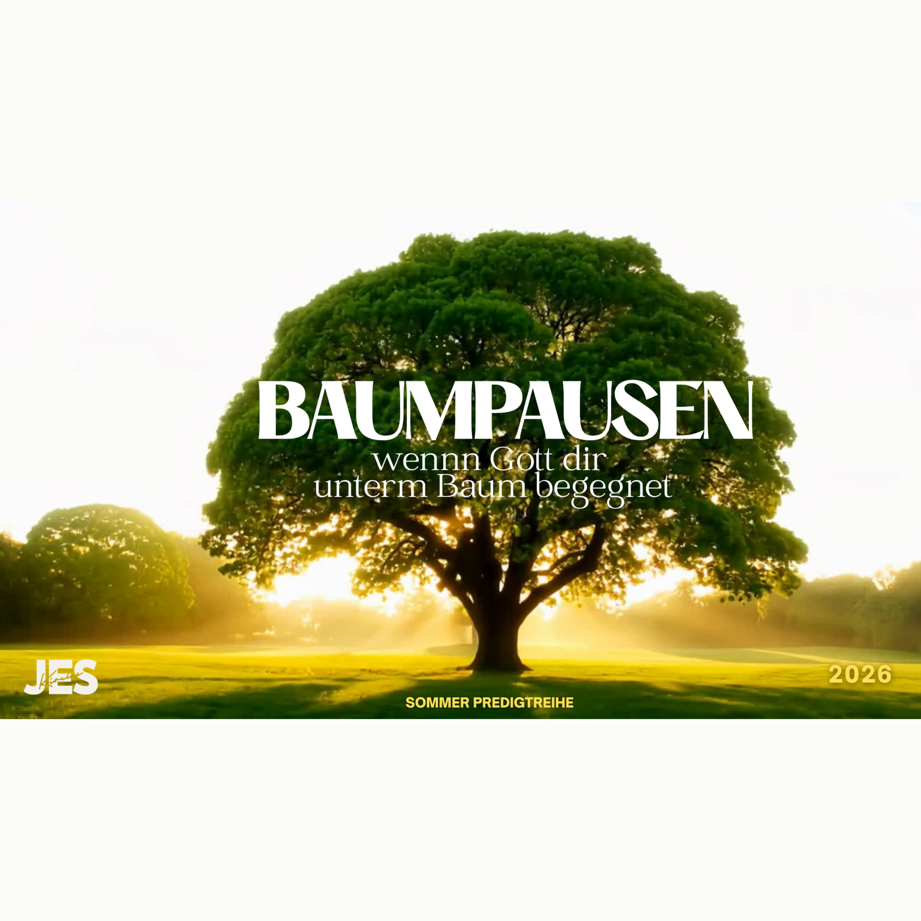 Baumpausen #2: Hagar und Dein Wert | Michael Sturm