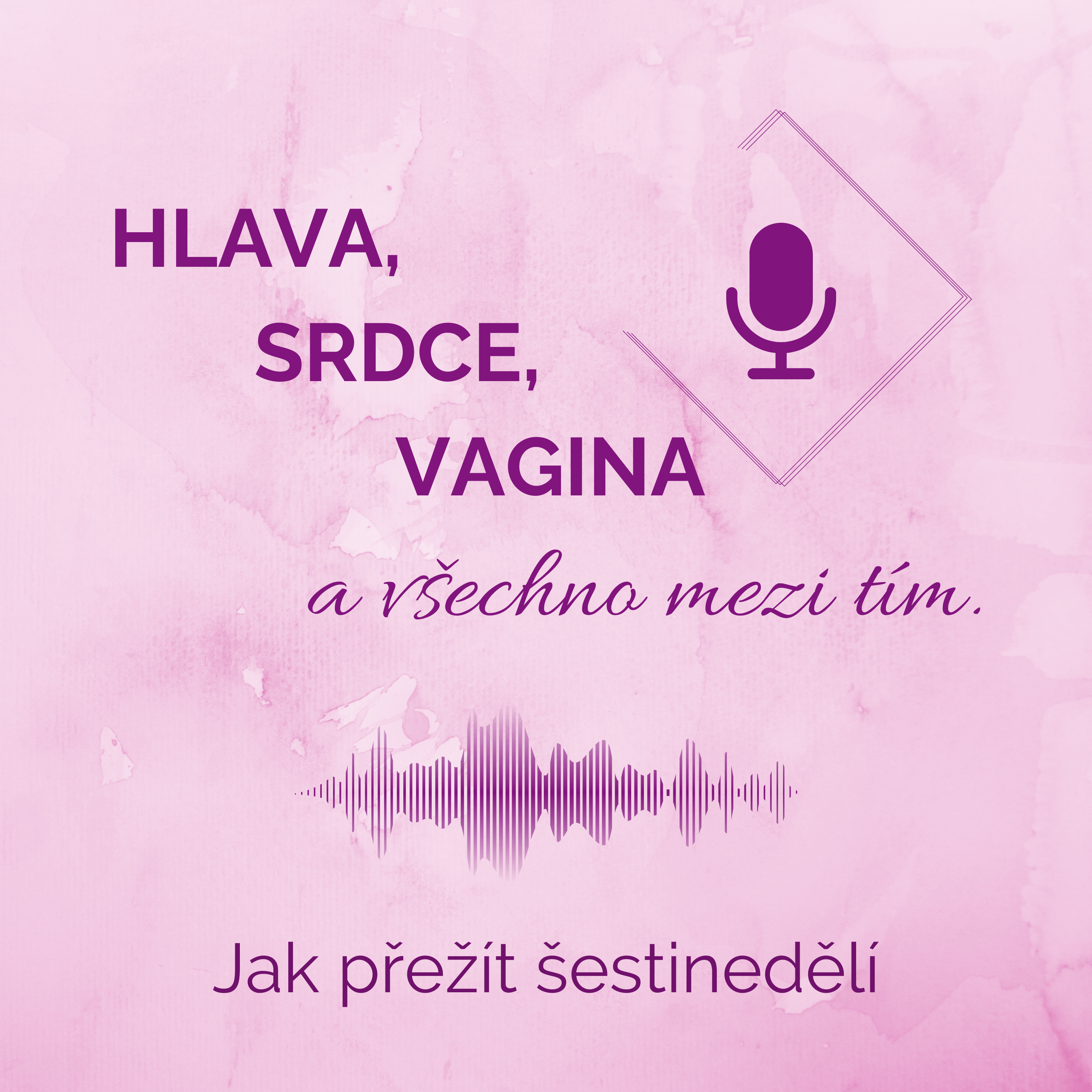 HLAVA, SRDCE, VAGINA a všechno mezi tím