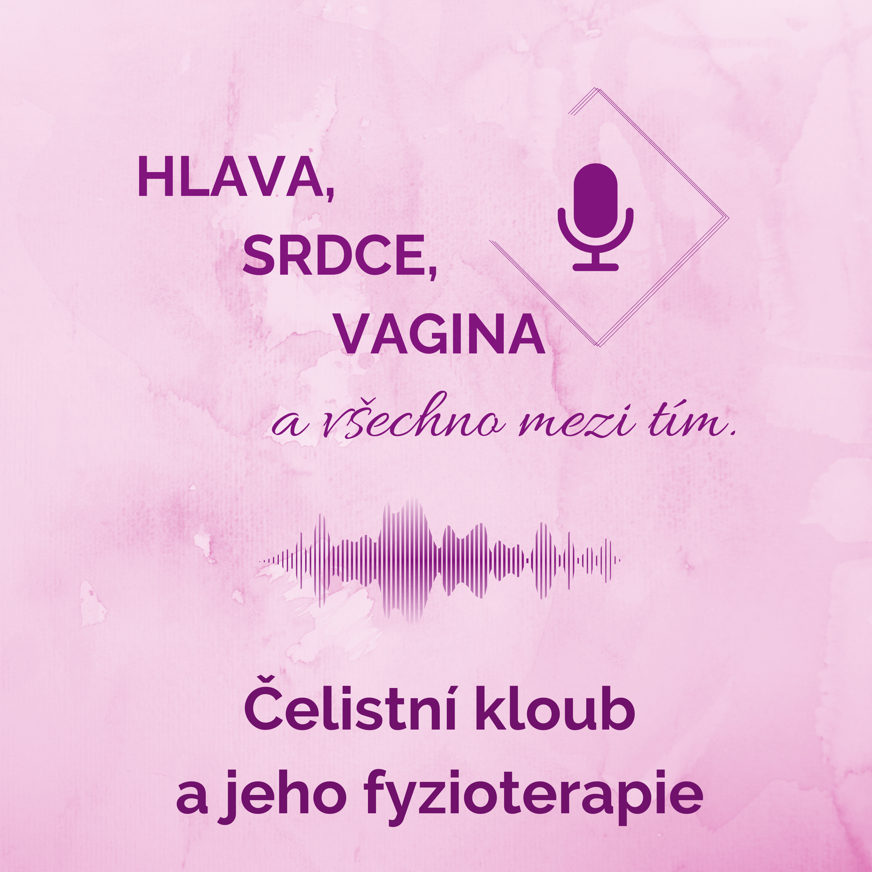 HLAVA, SRDCE, VAGINA a všechno mezi tím