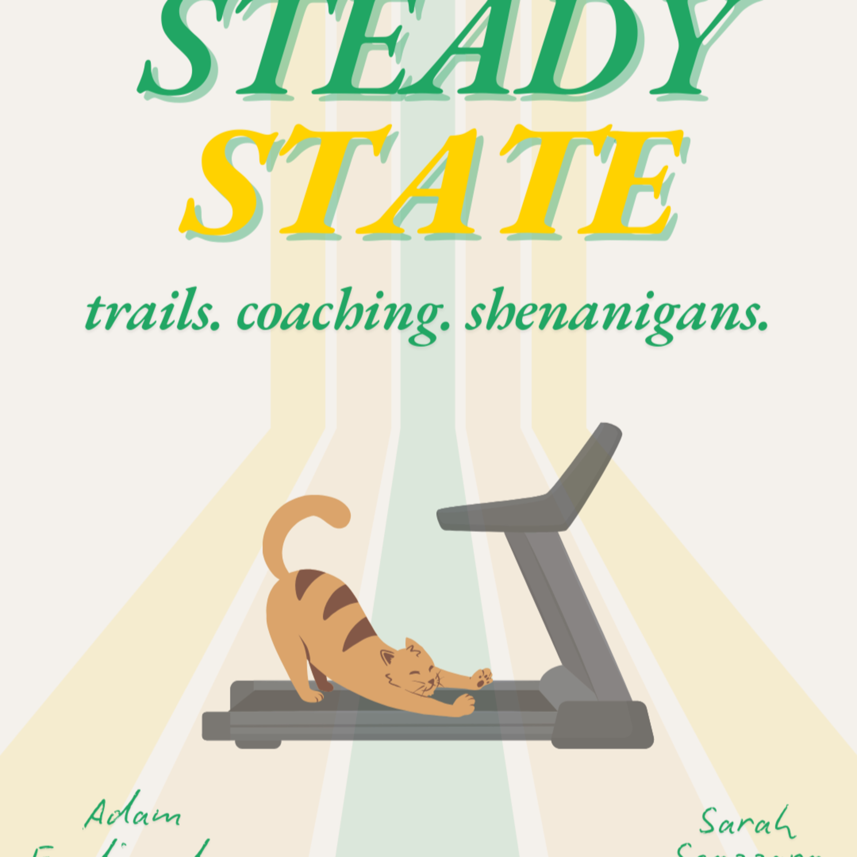 Steady State