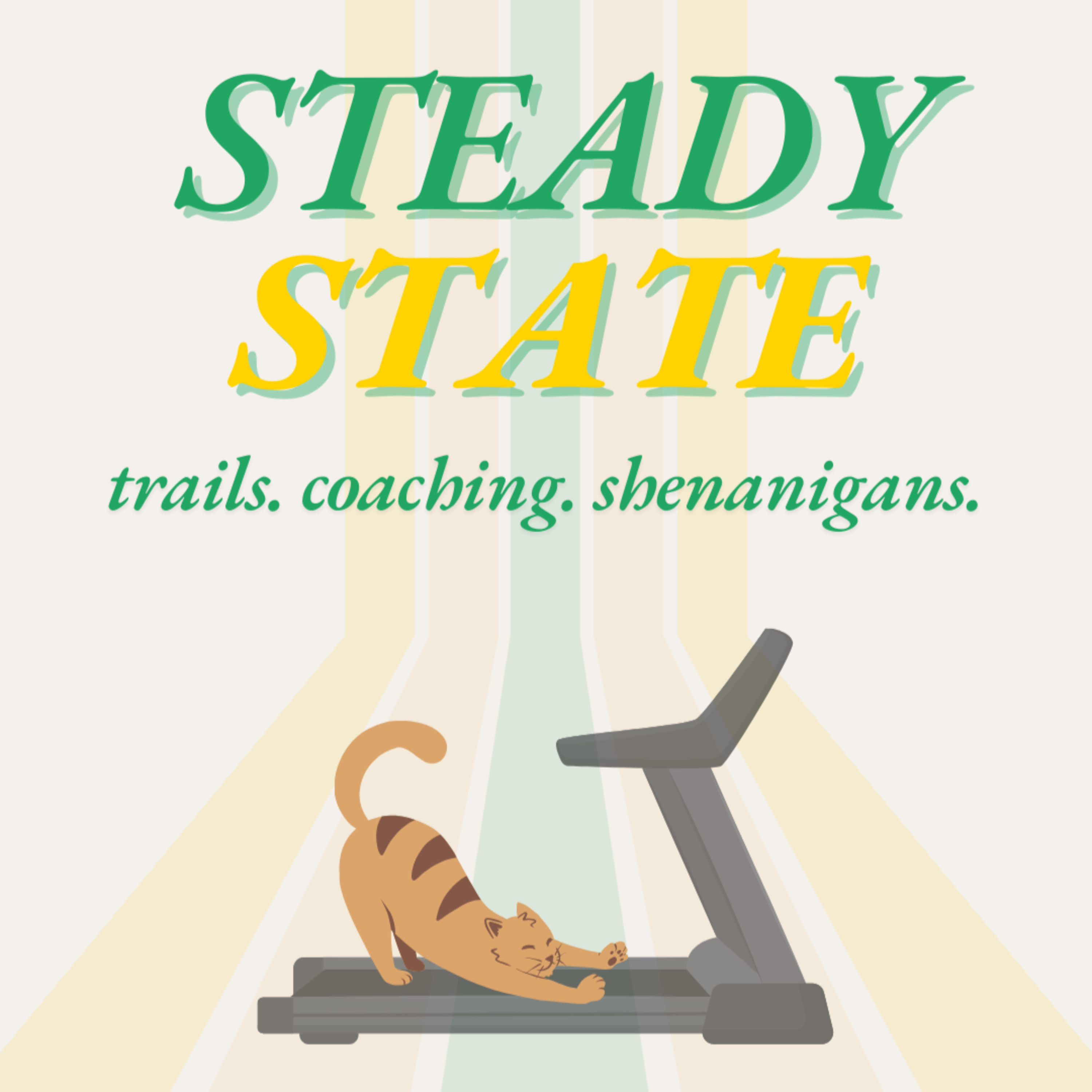 Steady State