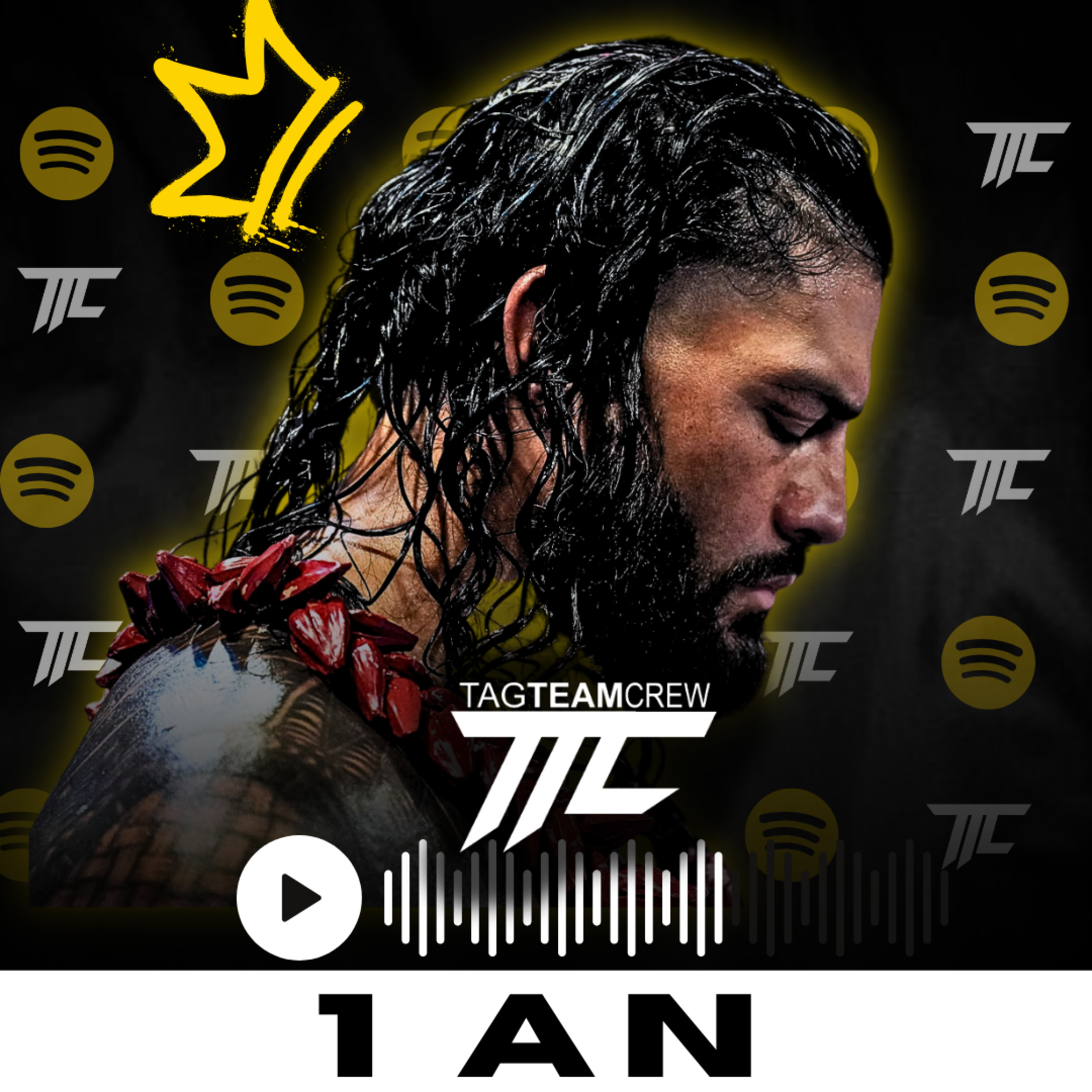 Les 1 AN du TTC PODCAST