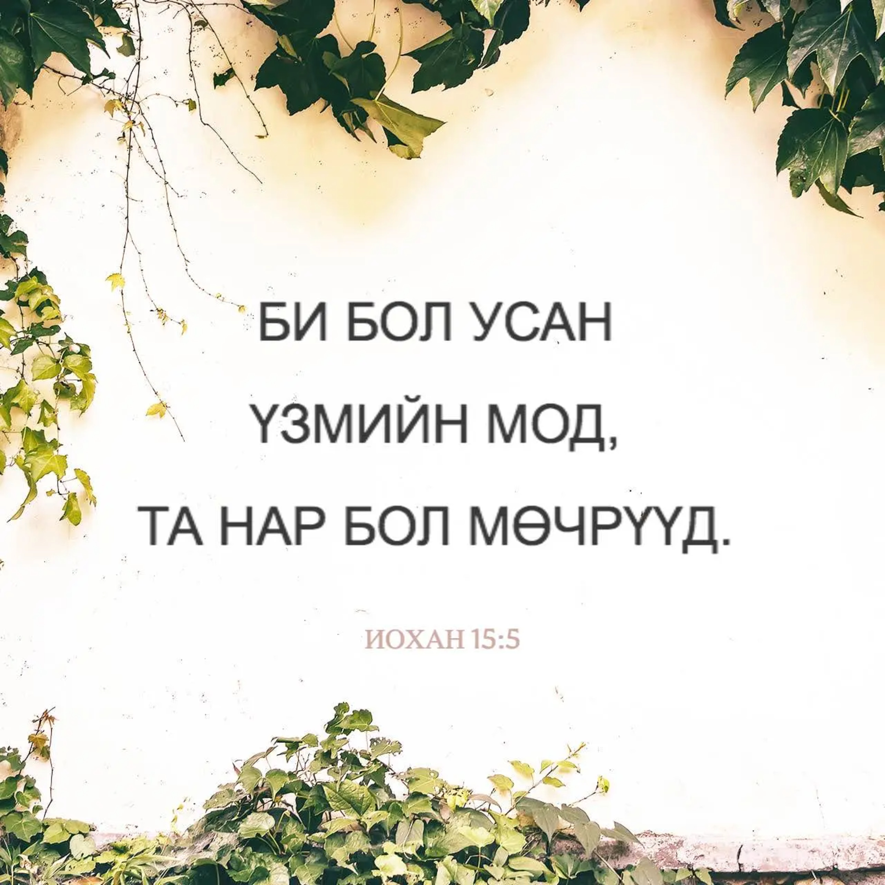 043 Иохан 15 [John 15 in Mongolian] episode artwork
