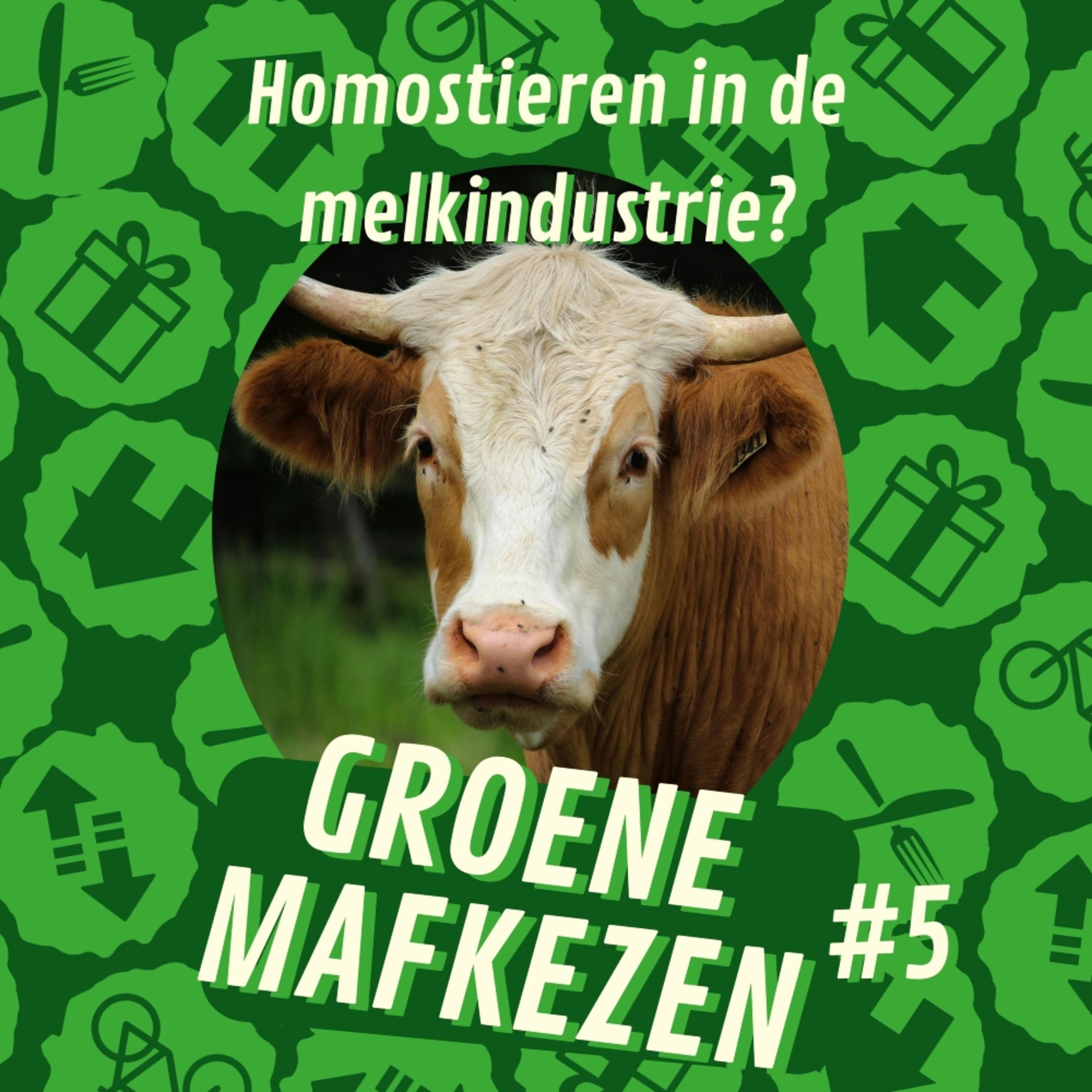 aflevering 5: Hoe zit het met homostieren in de melkindustrie?