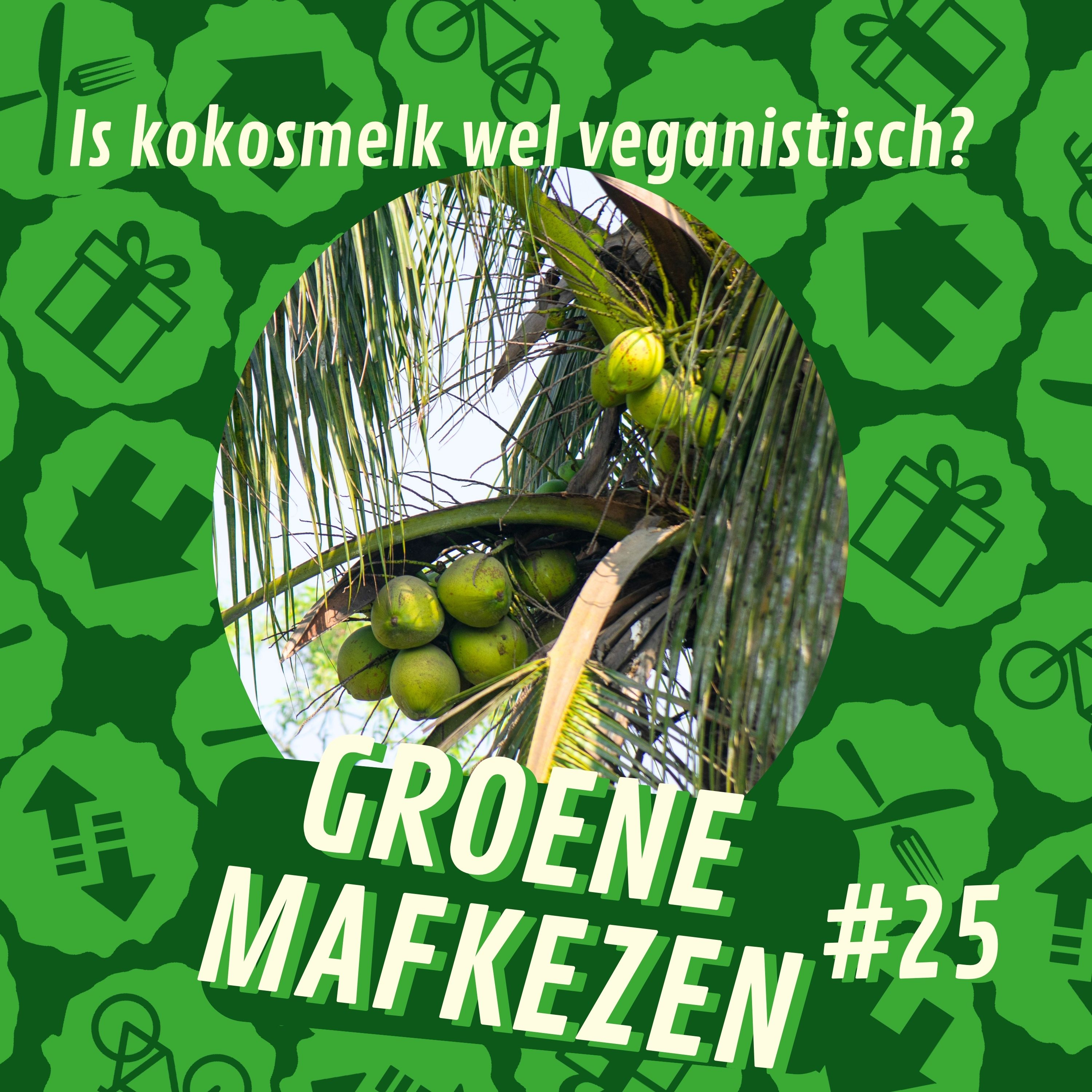 aflevering 25: Is kokosmelk wel veganistisch? episode artwork