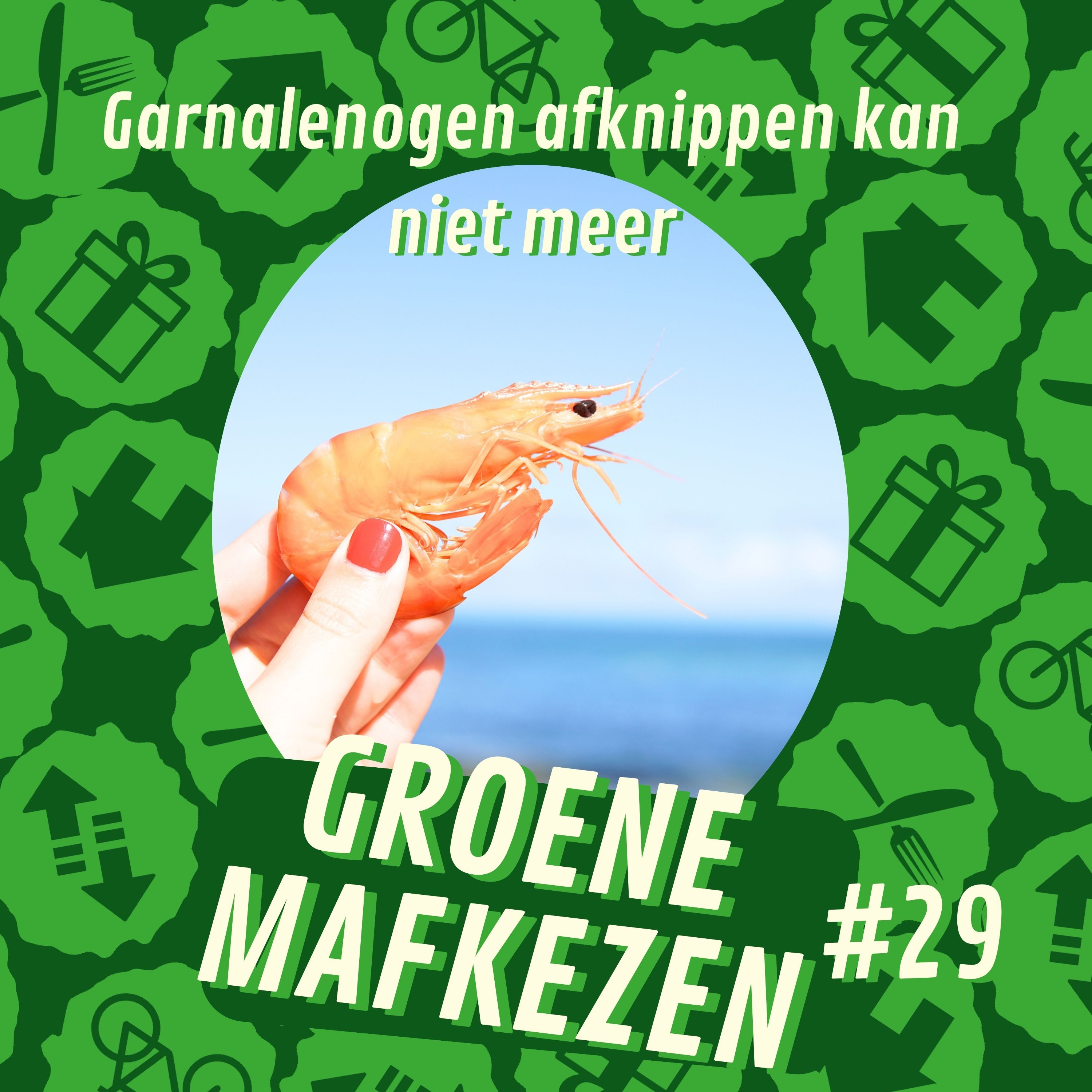 aflevering 29: Garnalenogen afknippen kan niet meer  episode artwork