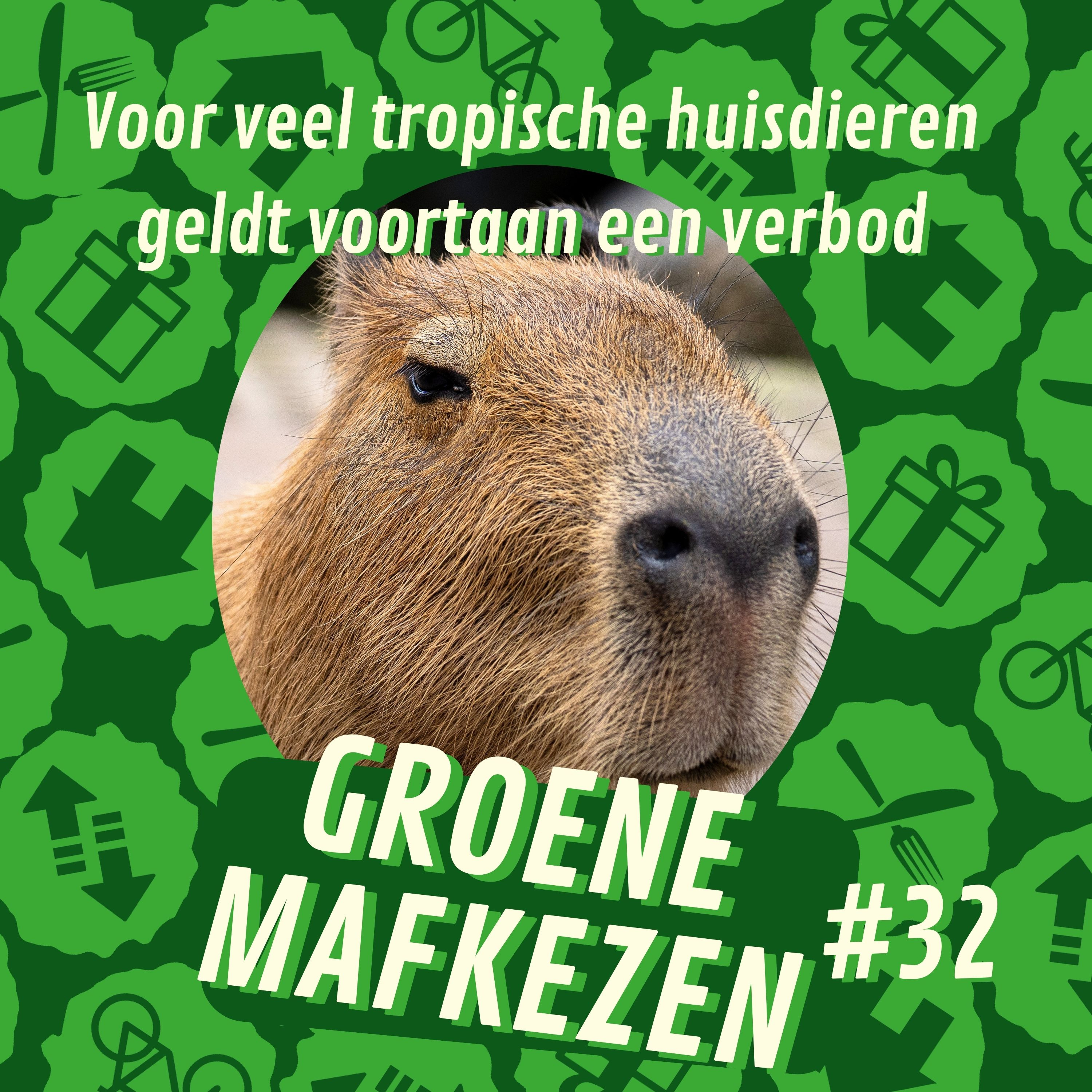 aflevering 32: voor veel tropische huisdieren geldt voortaan een verbod